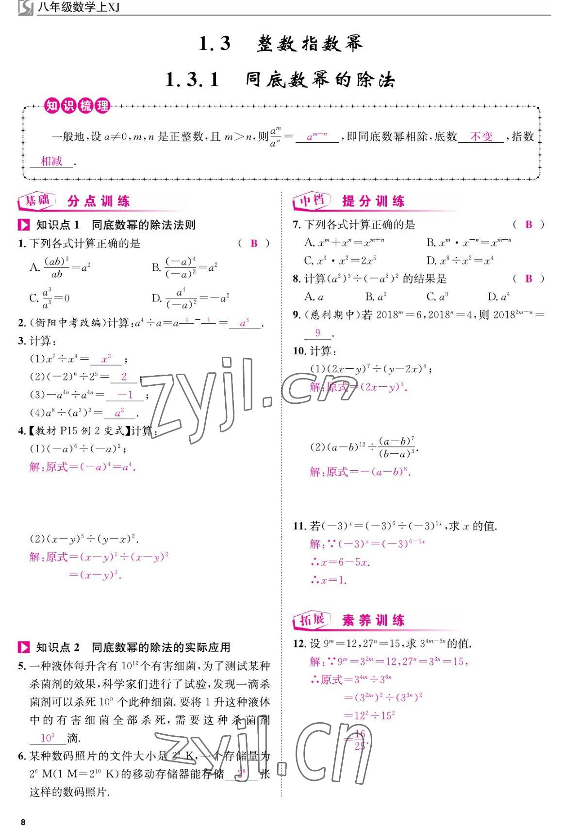 2022年我的作業(yè)八年級數(shù)學(xué)上冊湘教版 參考答案第8頁