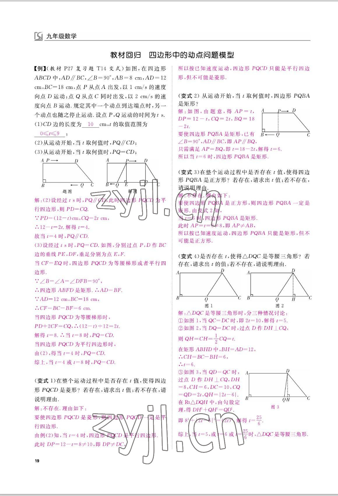 2022年我的作業(yè)九年級數(shù)學上冊北師大版 參考答案第19頁