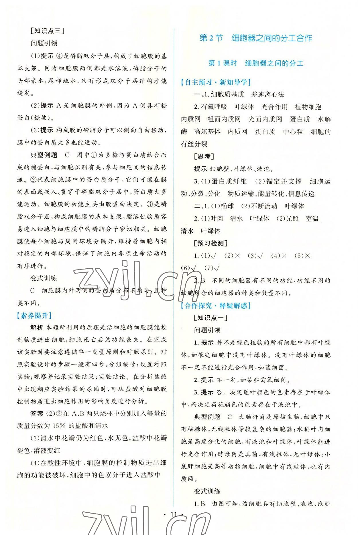 2022年高中同步測控優(yōu)化設計生物必修1分子與細胞增強版 參考答案第10頁