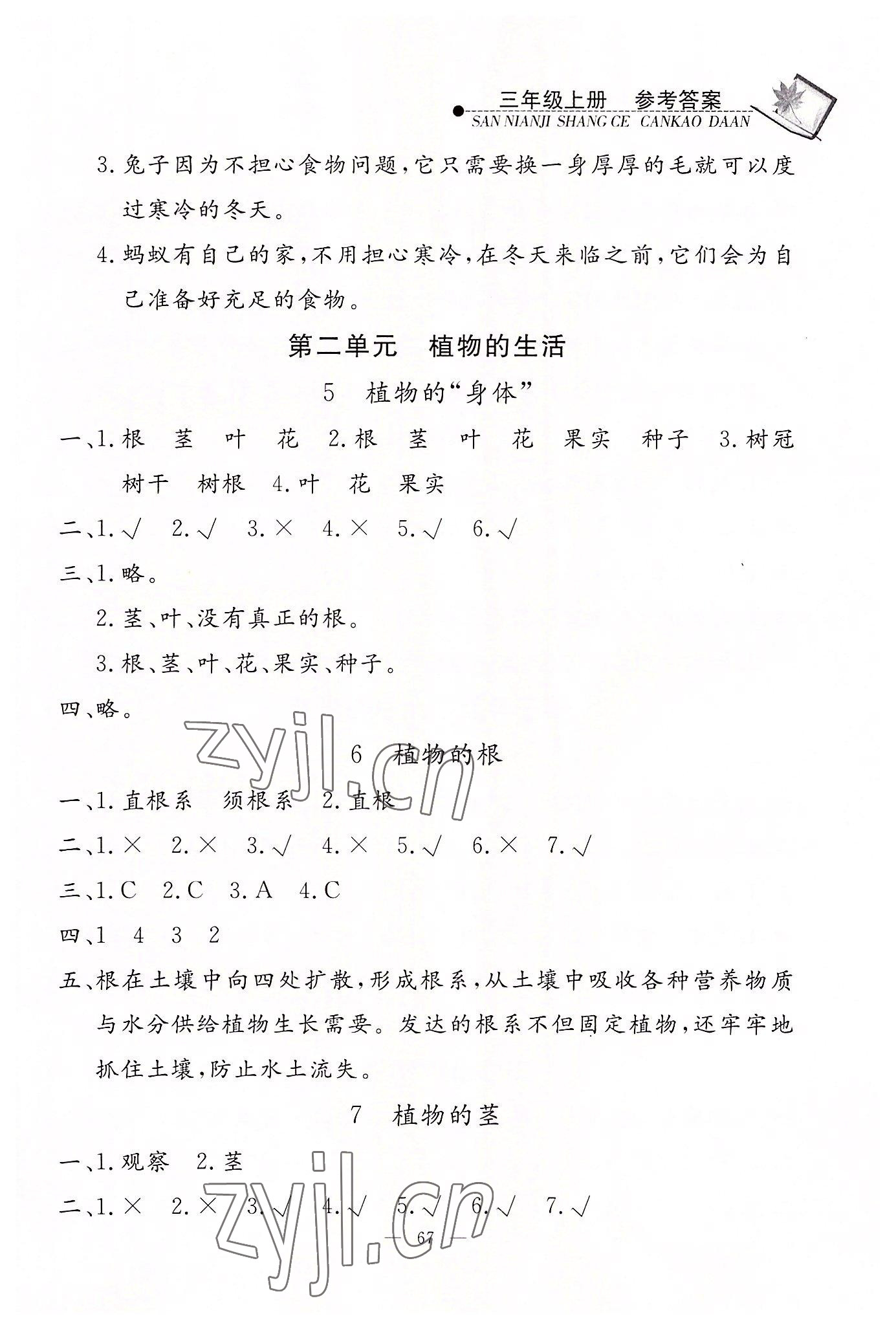 2022年同步練習冊山東科學技術出版社三年級科學上冊青島版 第3頁