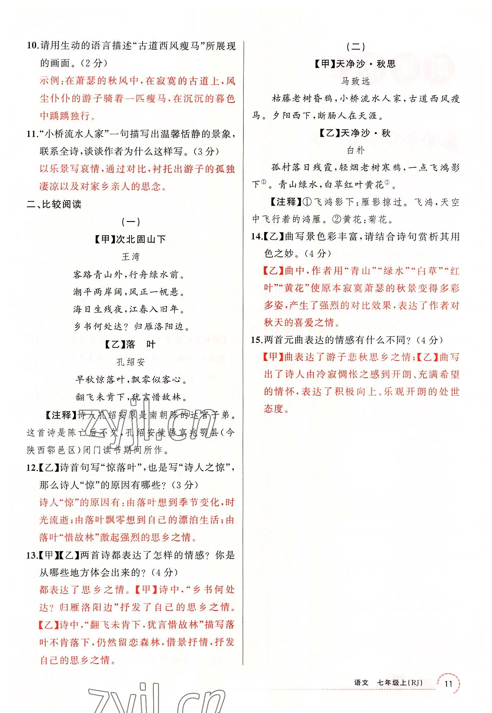 2022年四清導(dǎo)航七年級(jí)語文上冊(cè)人教版黃岡專版 參考答案第49頁(yè)