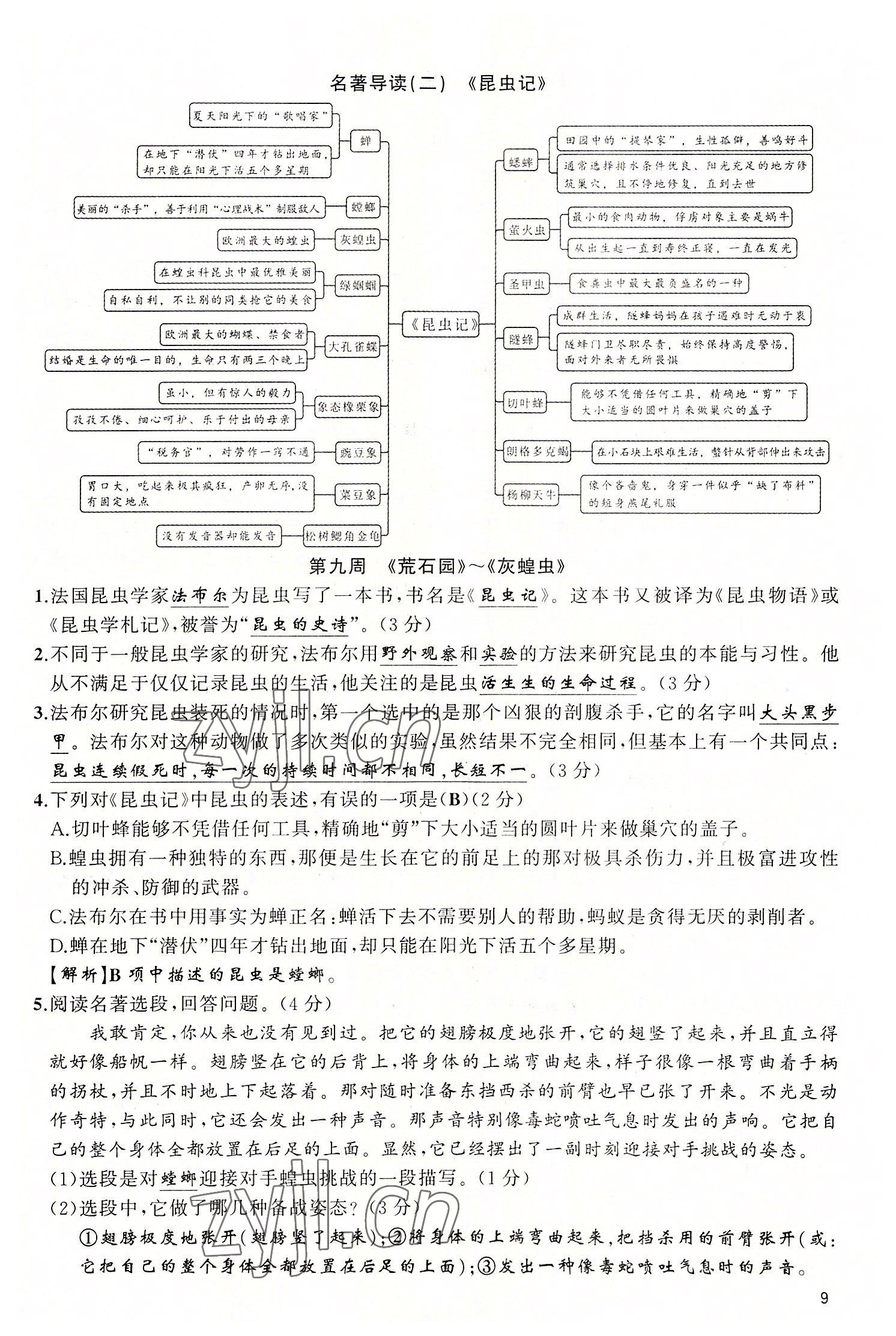 2022年四清導(dǎo)航八年級語文上冊人教版黃岡專版 參考答案第20頁