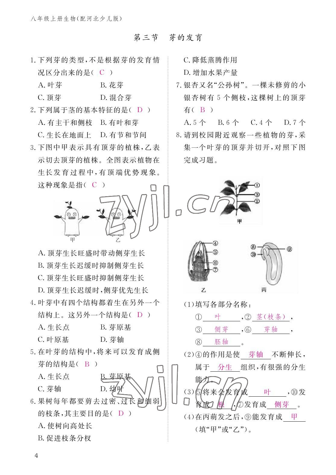 2022年作業(yè)本江西教育出版社八年級生物上冊冀少版 參考答案第4頁