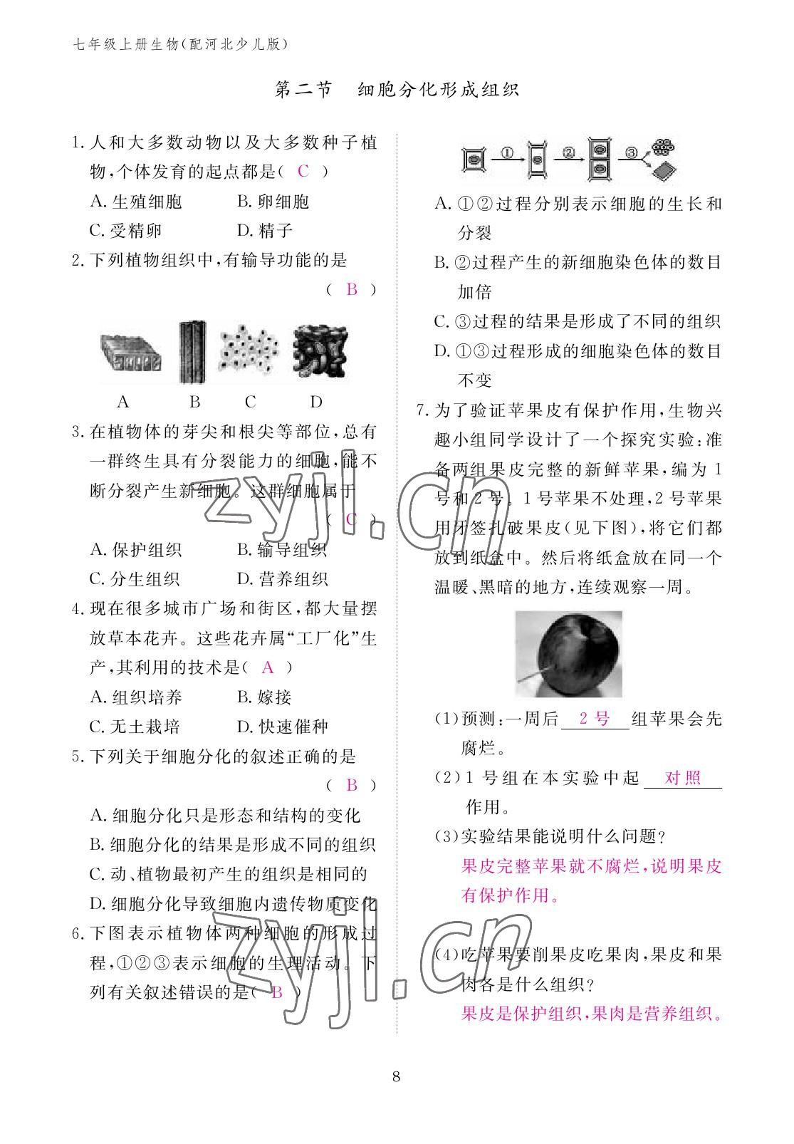 2022年作業(yè)本江西教育出版社七年級(jí)生物上冊(cè)冀少版 參考答案第8頁(yè)