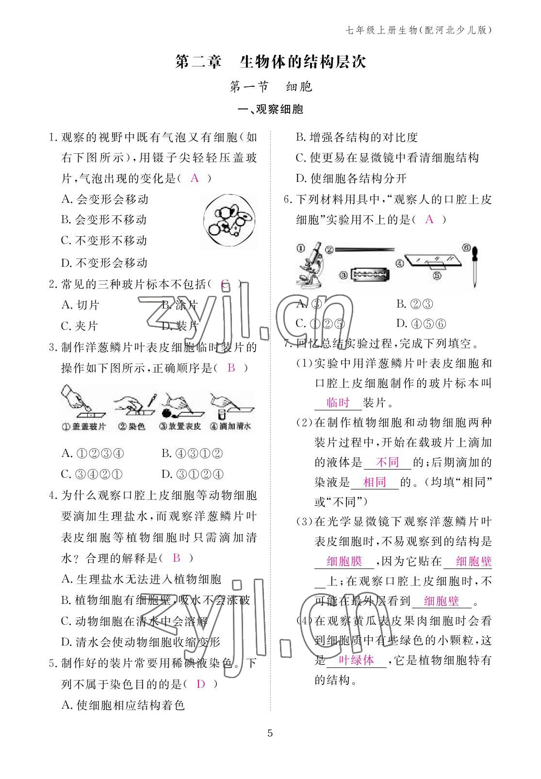 2022年作業(yè)本江西教育出版社七年級(jí)生物上冊(cè)冀少版 參考答案第5頁(yè)