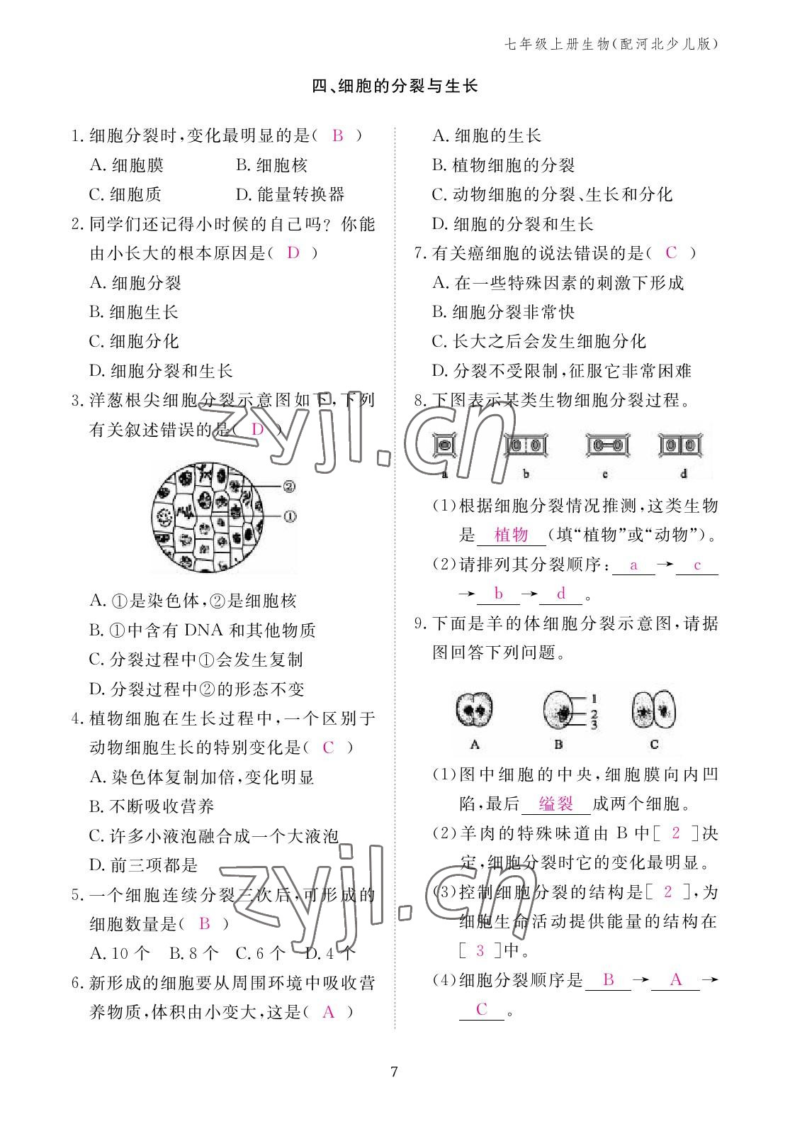 2022年作業(yè)本江西教育出版社七年級(jí)生物上冊(cè)冀少版 參考答案第7頁