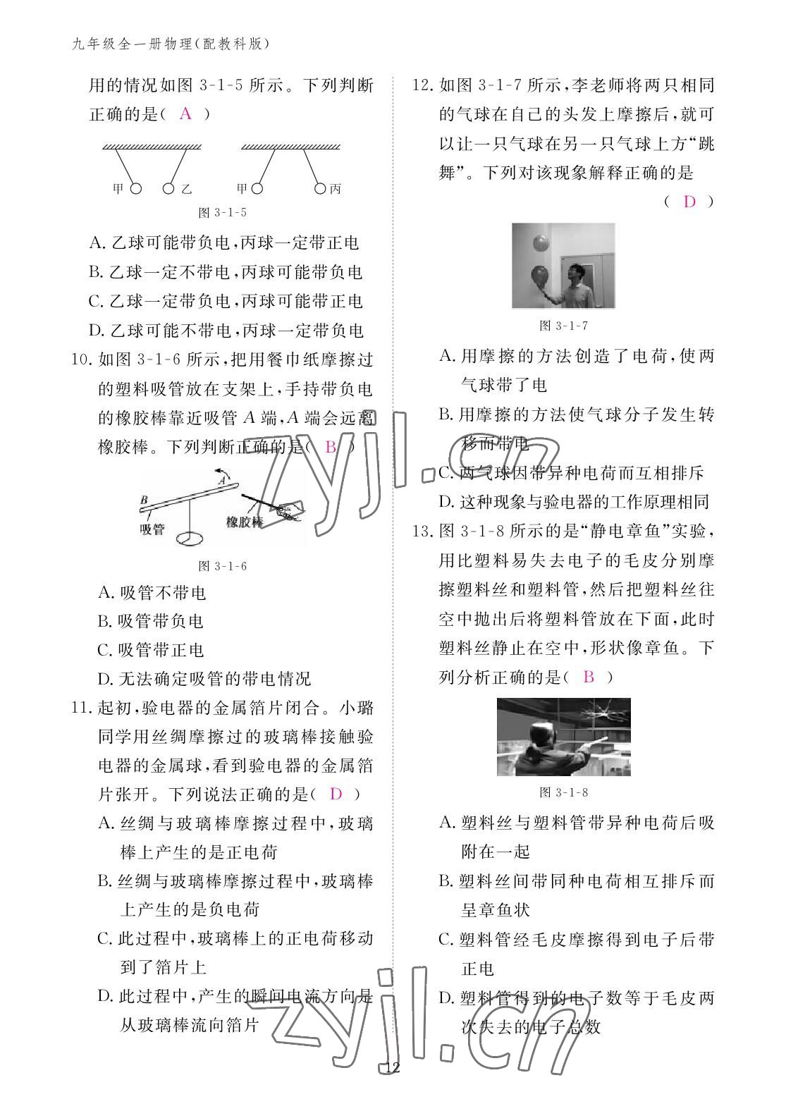 2022年作業(yè)本江西教育出版社九年級(jí)物理全一冊(cè)教科版 參考答案第12頁