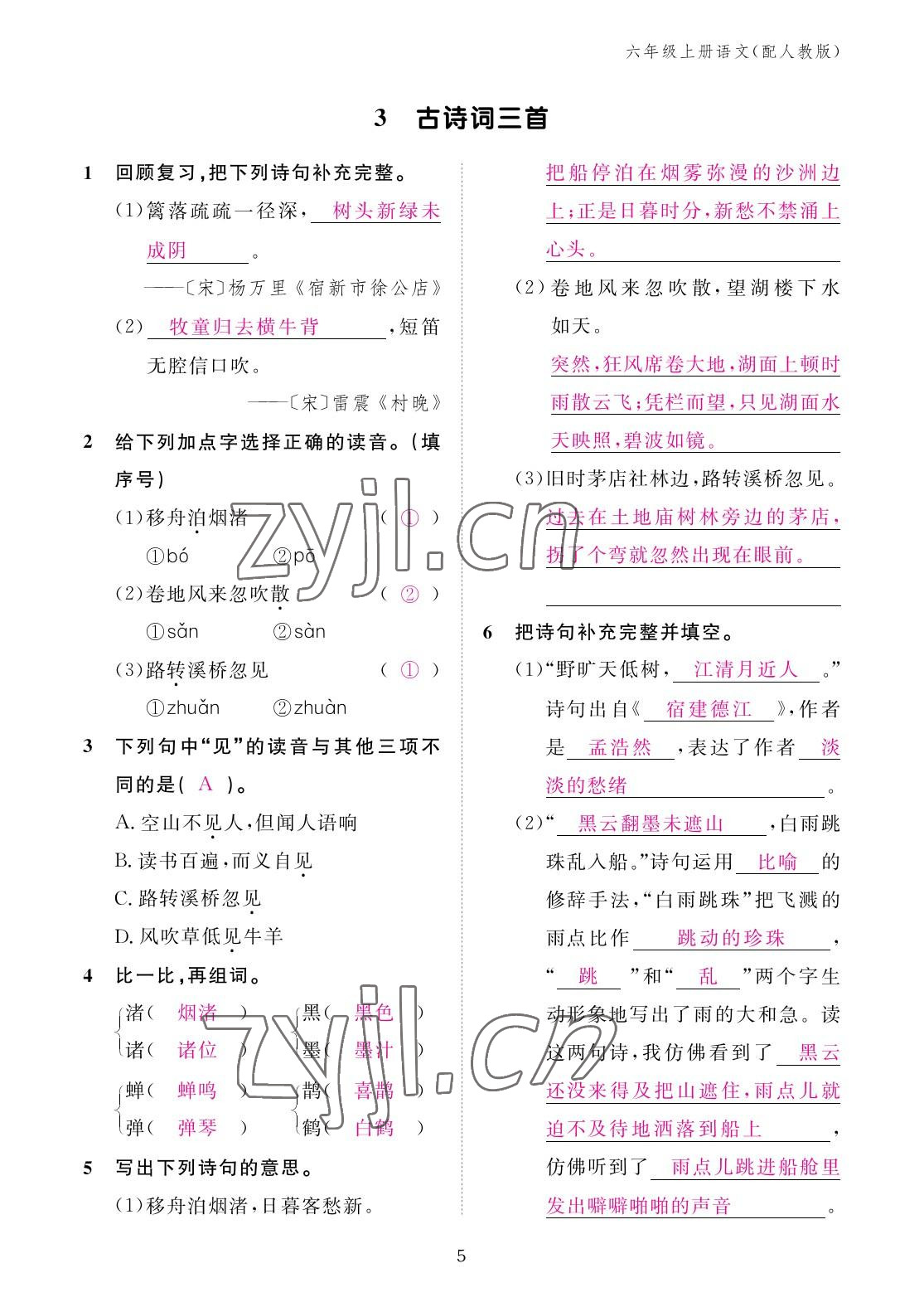 2022年作業(yè)本江西教育出版社六年級語文上冊人教版 參考答案第5頁