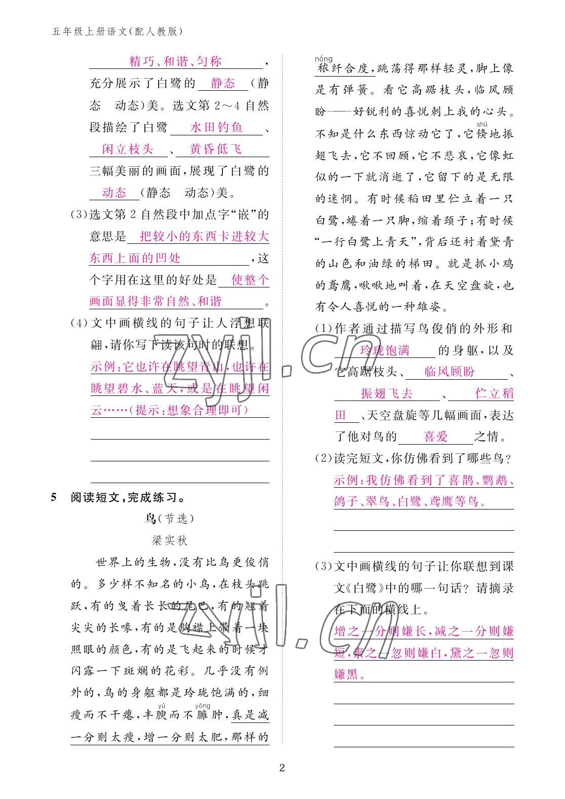 2022年作業(yè)本江西教育出版社五年級(jí)語(yǔ)文上冊(cè)人教版 參考答案第2頁(yè)