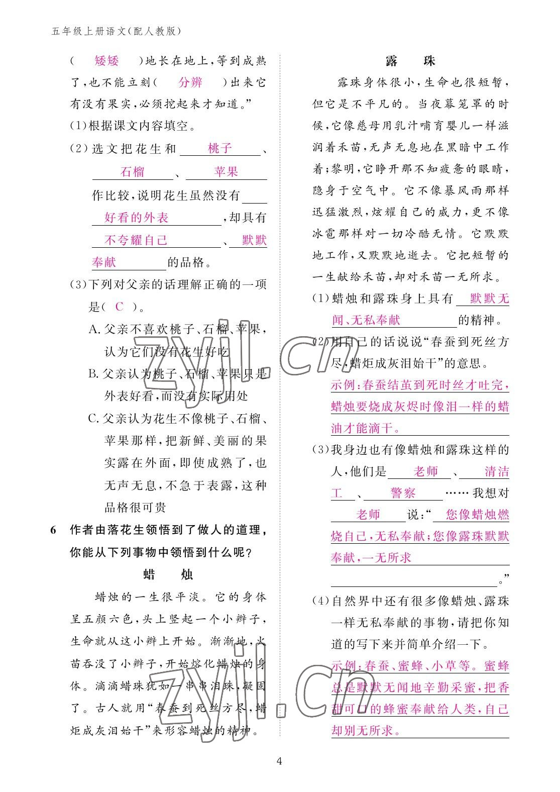 2022年作業(yè)本江西教育出版社五年級語文上冊人教版 參考答案第4頁