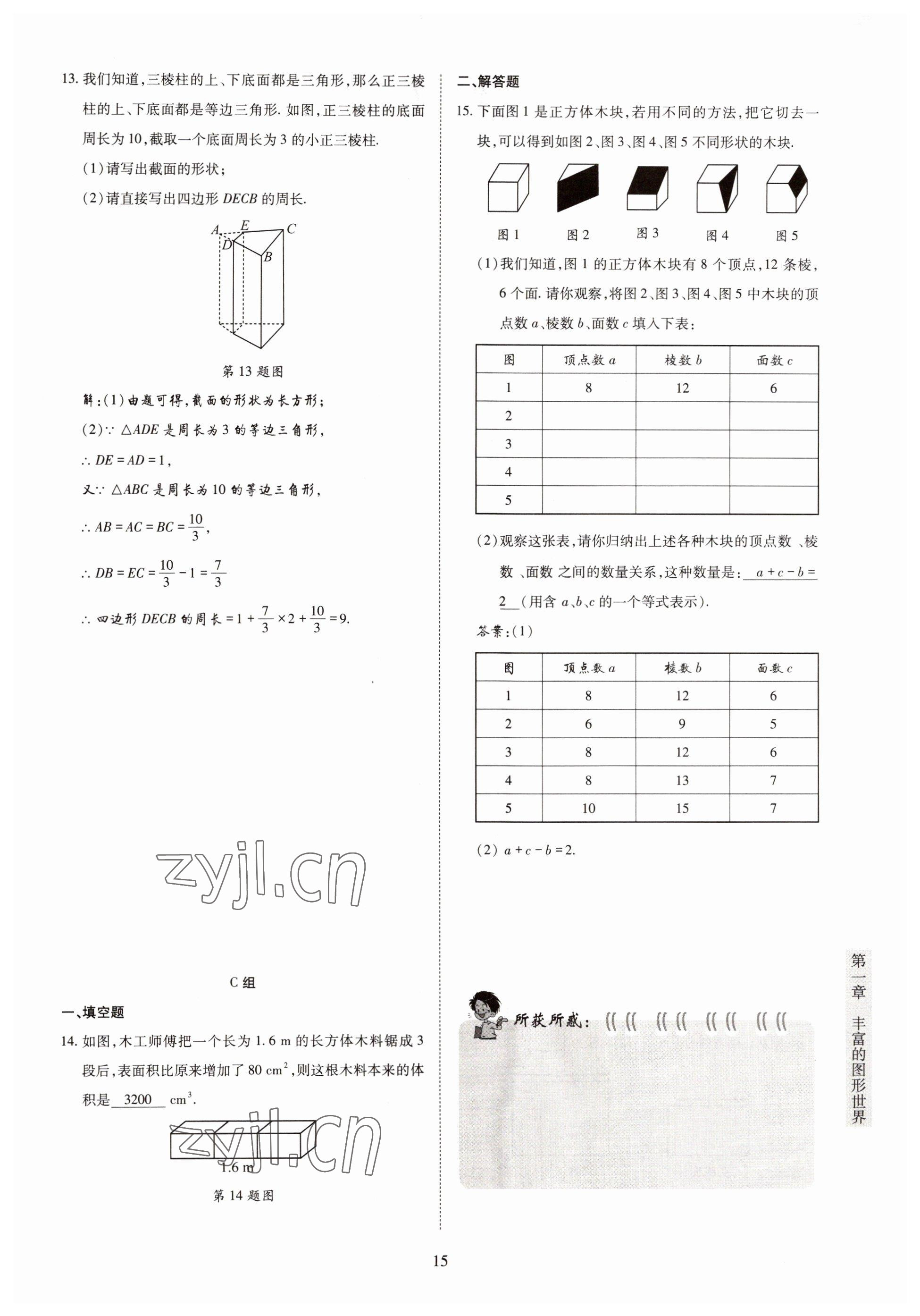 2022年金典訓(xùn)練七年級(jí)數(shù)學(xué)上冊(cè)北師大版 參考答案第10頁(yè)