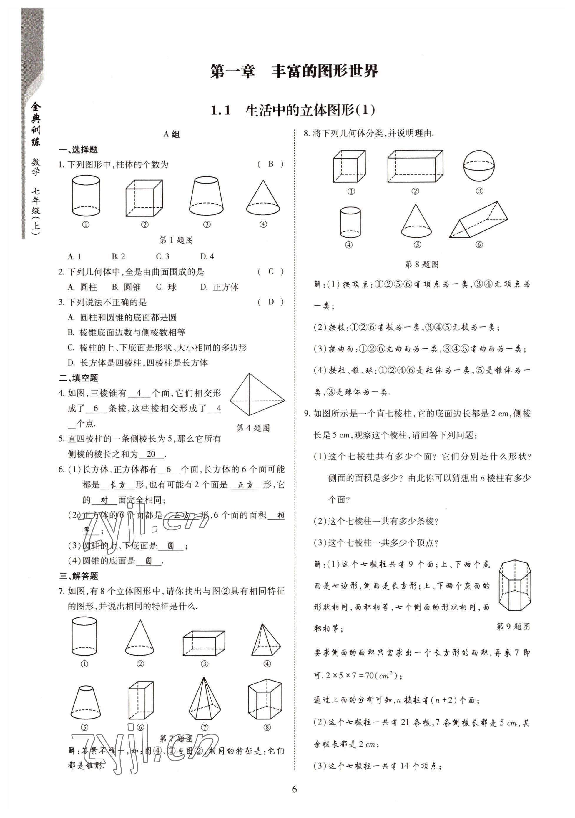 2022年金典训练七年级数学上册北师大版 参考答案第1页