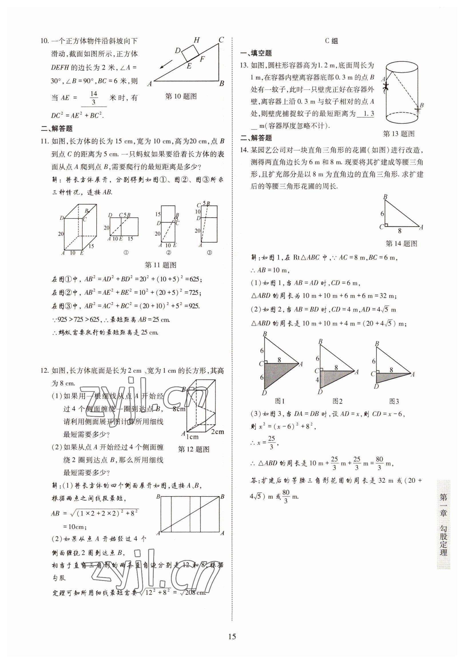 2022年金典訓練八年級數(shù)學上冊北師大版 參考答案第10頁