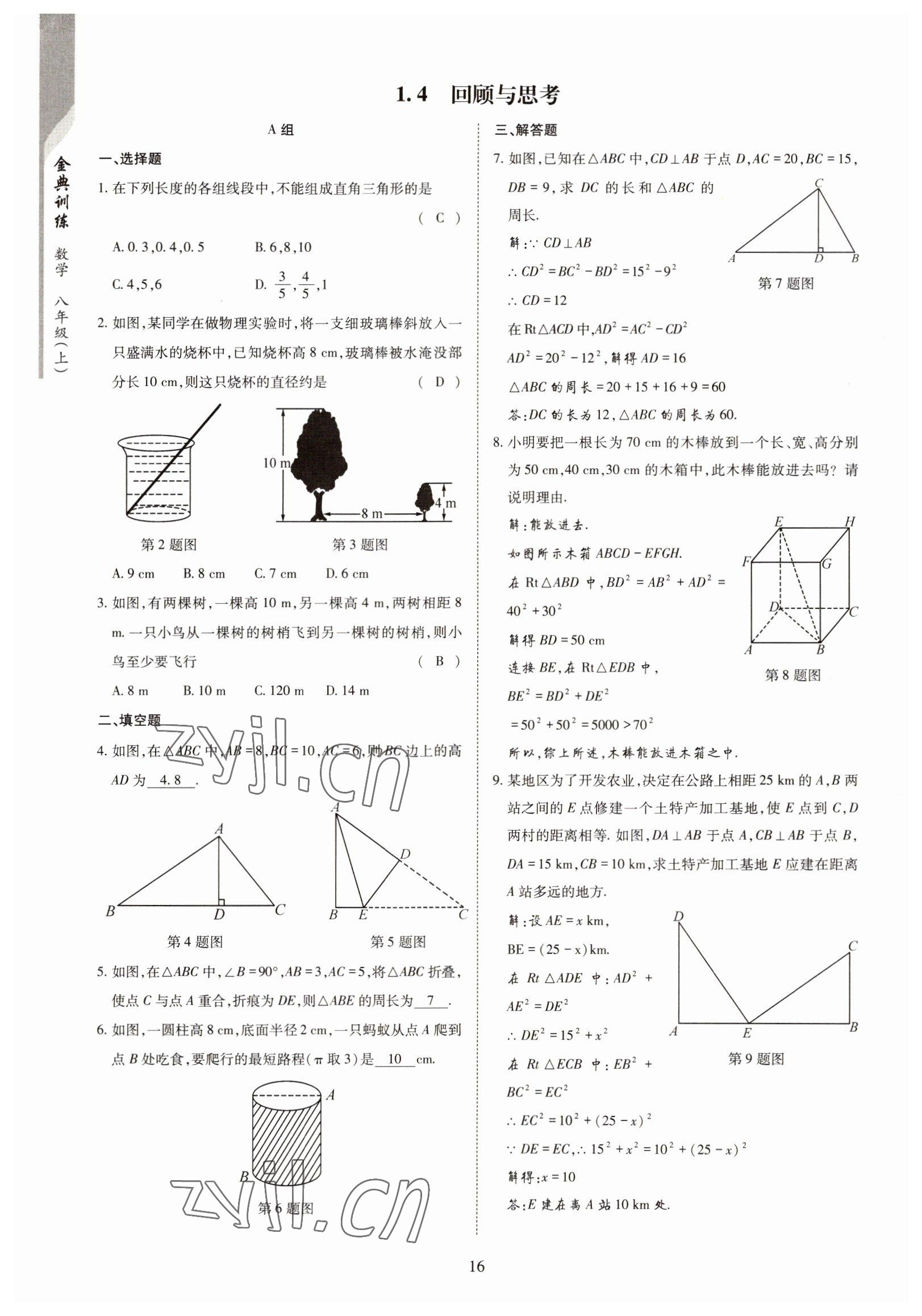 2022年金典訓(xùn)練八年級數(shù)學(xué)上冊北師大版 參考答案第11頁