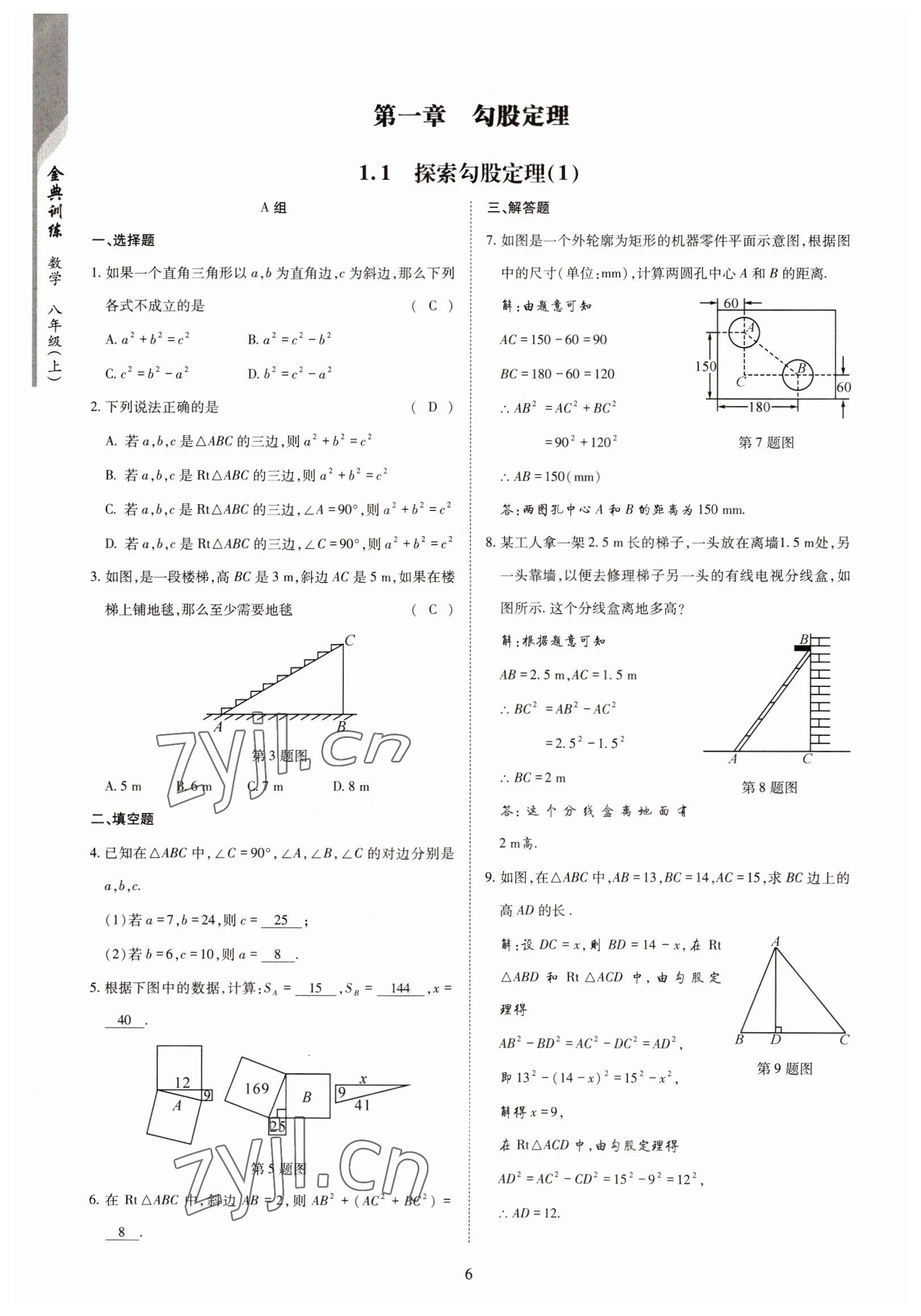 2022年金典訓練八年級數(shù)學上冊北師大版 參考答案第1頁