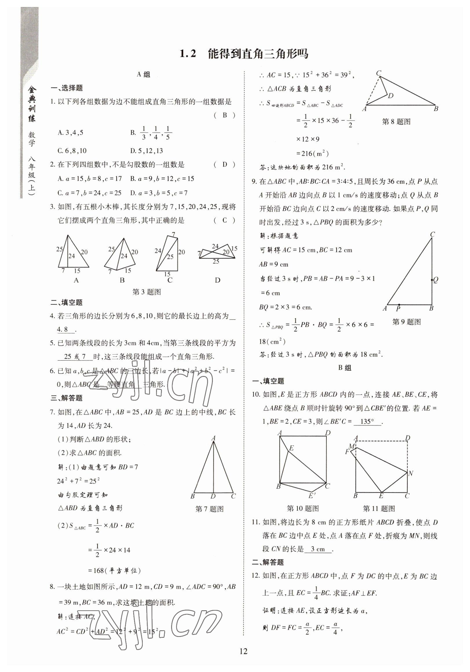 2022年金典訓(xùn)練八年級(jí)數(shù)學(xué)上冊(cè)北師大版 參考答案第7頁