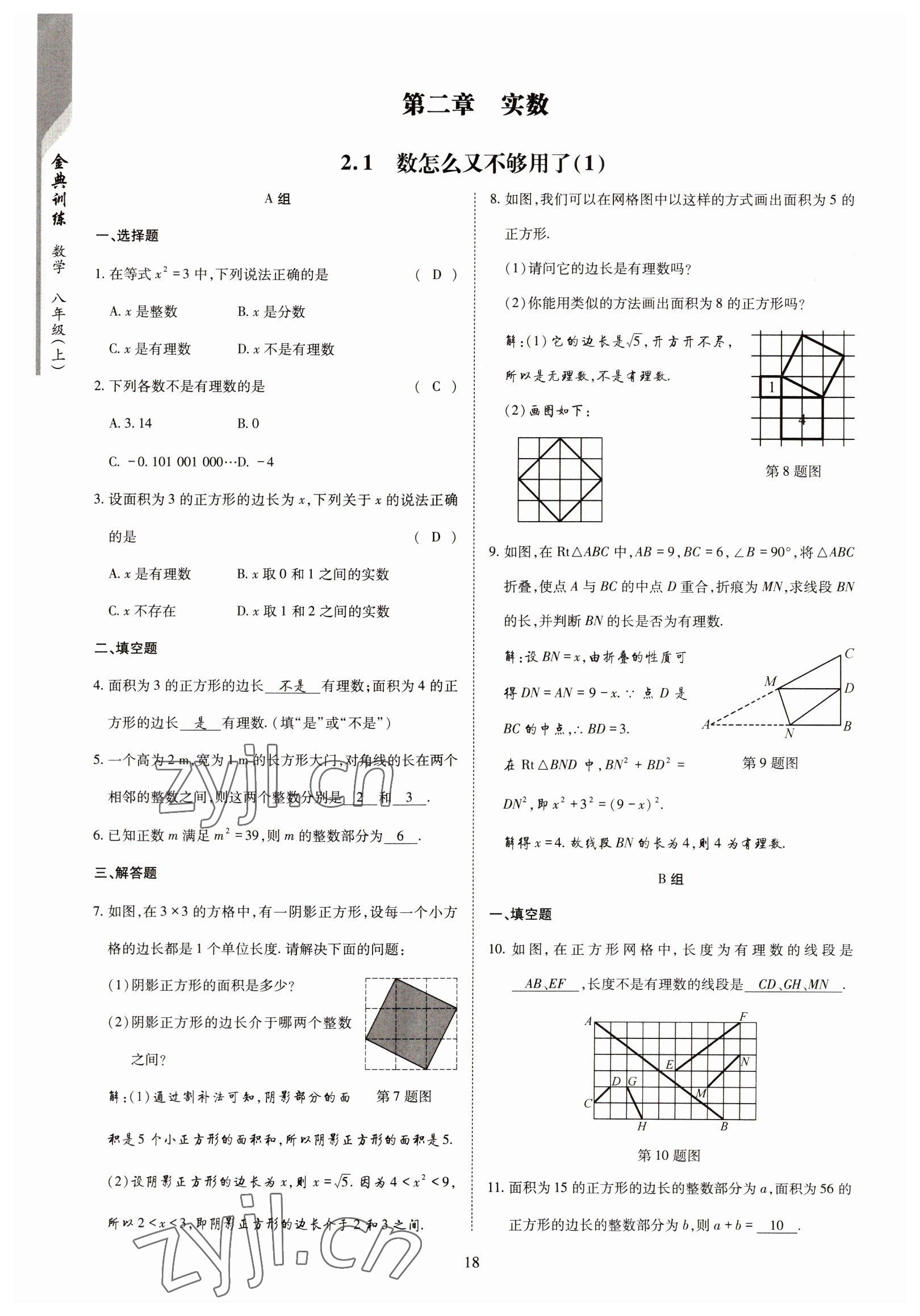 2022年金典訓(xùn)練八年級數(shù)學(xué)上冊北師大版 參考答案第13頁