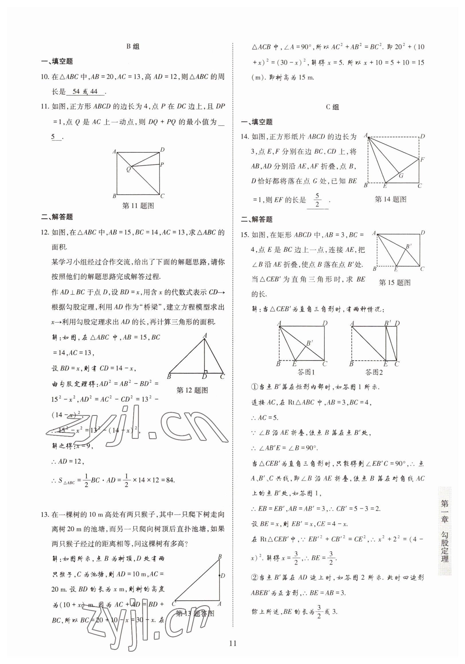 2022年金典訓(xùn)練八年級數(shù)學(xué)上冊北師大版 參考答案第6頁