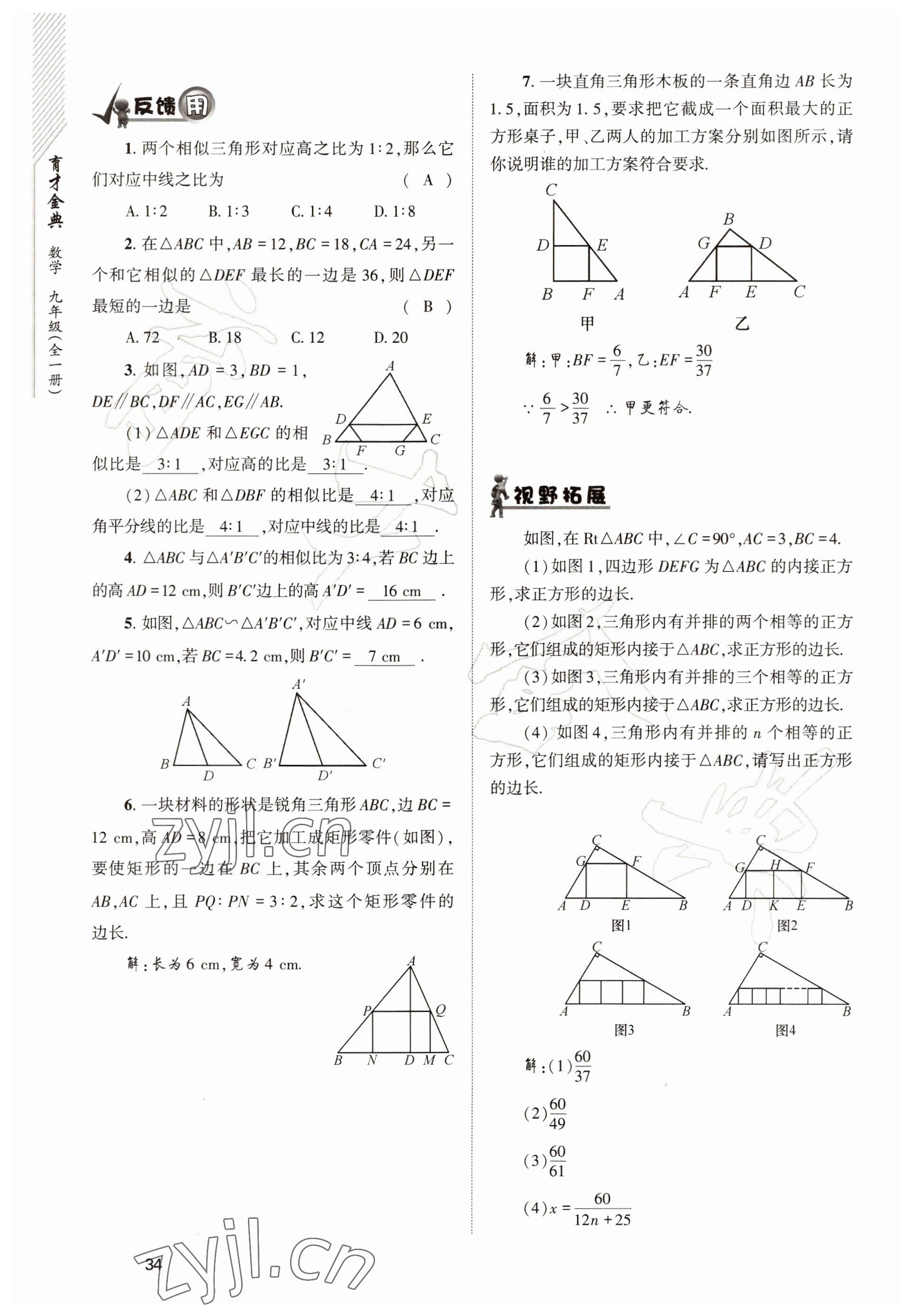 2022年育才金典九年級(jí)數(shù)學(xué)全一冊(cè)北師大版 參考答案第34頁