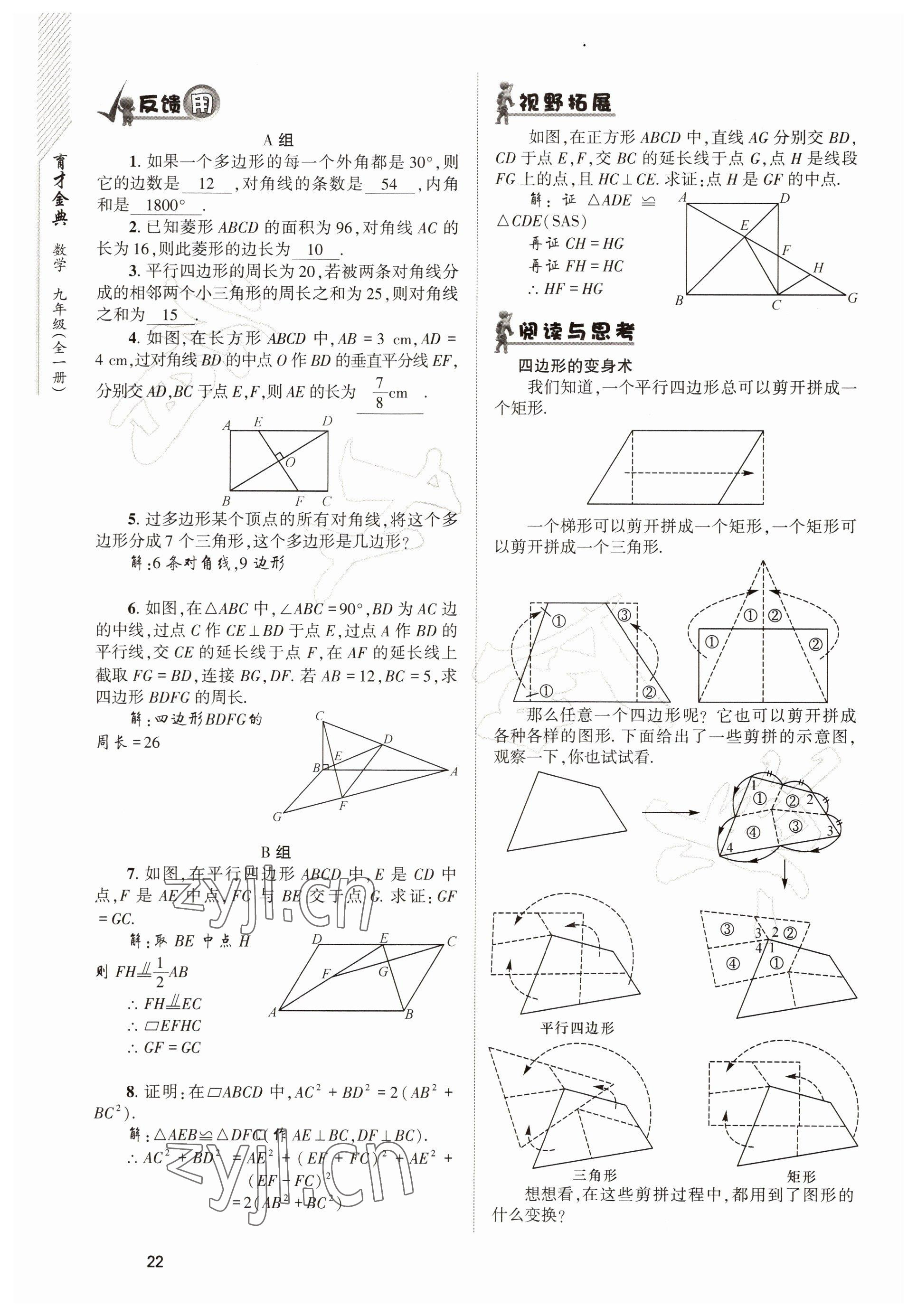 2022年育才金典九年級數(shù)學(xué)全一冊北師大版 參考答案第22頁