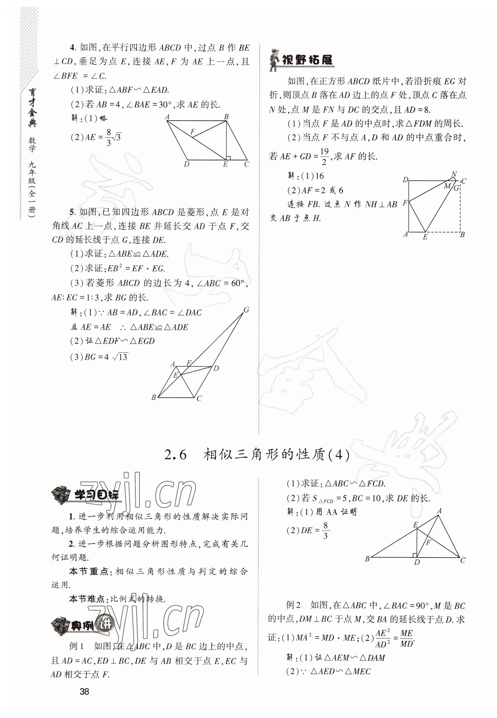 2022年育才金典九年級(jí)數(shù)學(xué)全一冊(cè)北師大版 參考答案第38頁(yè)