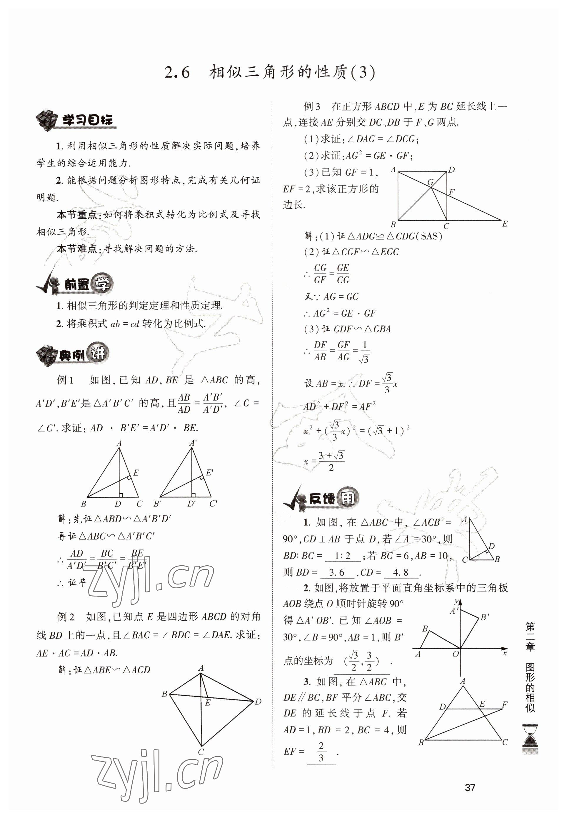 2022年育才金典九年級(jí)數(shù)學(xué)全一冊(cè)北師大版 參考答案第37頁