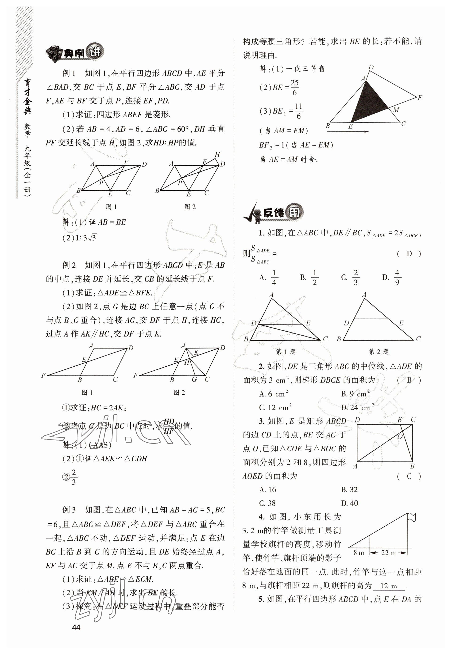 2022年育才金典九年級數(shù)學全一冊北師大版 參考答案第44頁