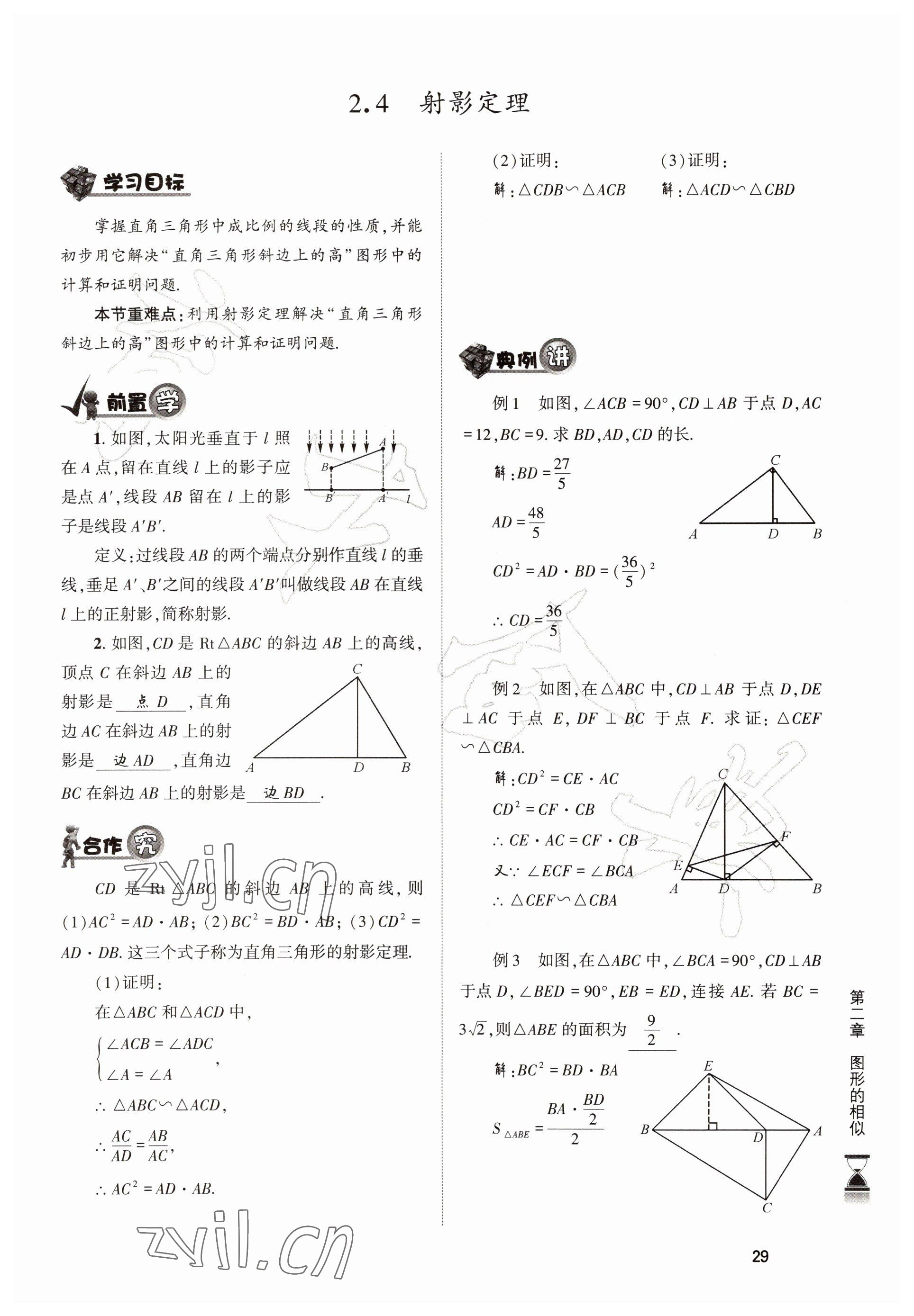 2022年育才金典九年級(jí)數(shù)學(xué)全一冊(cè)北師大版 參考答案第29頁(yè)