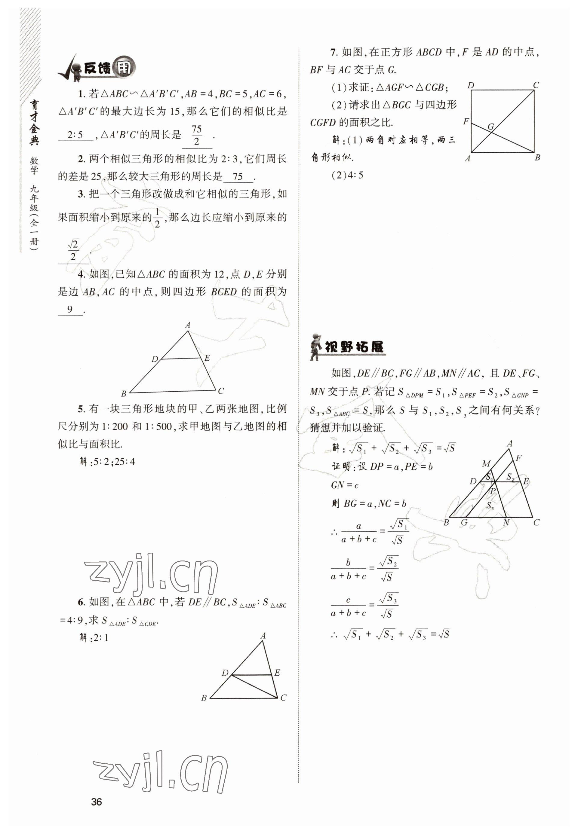 2022年育才金典九年級(jí)數(shù)學(xué)全一冊(cè)北師大版 參考答案第36頁(yè)