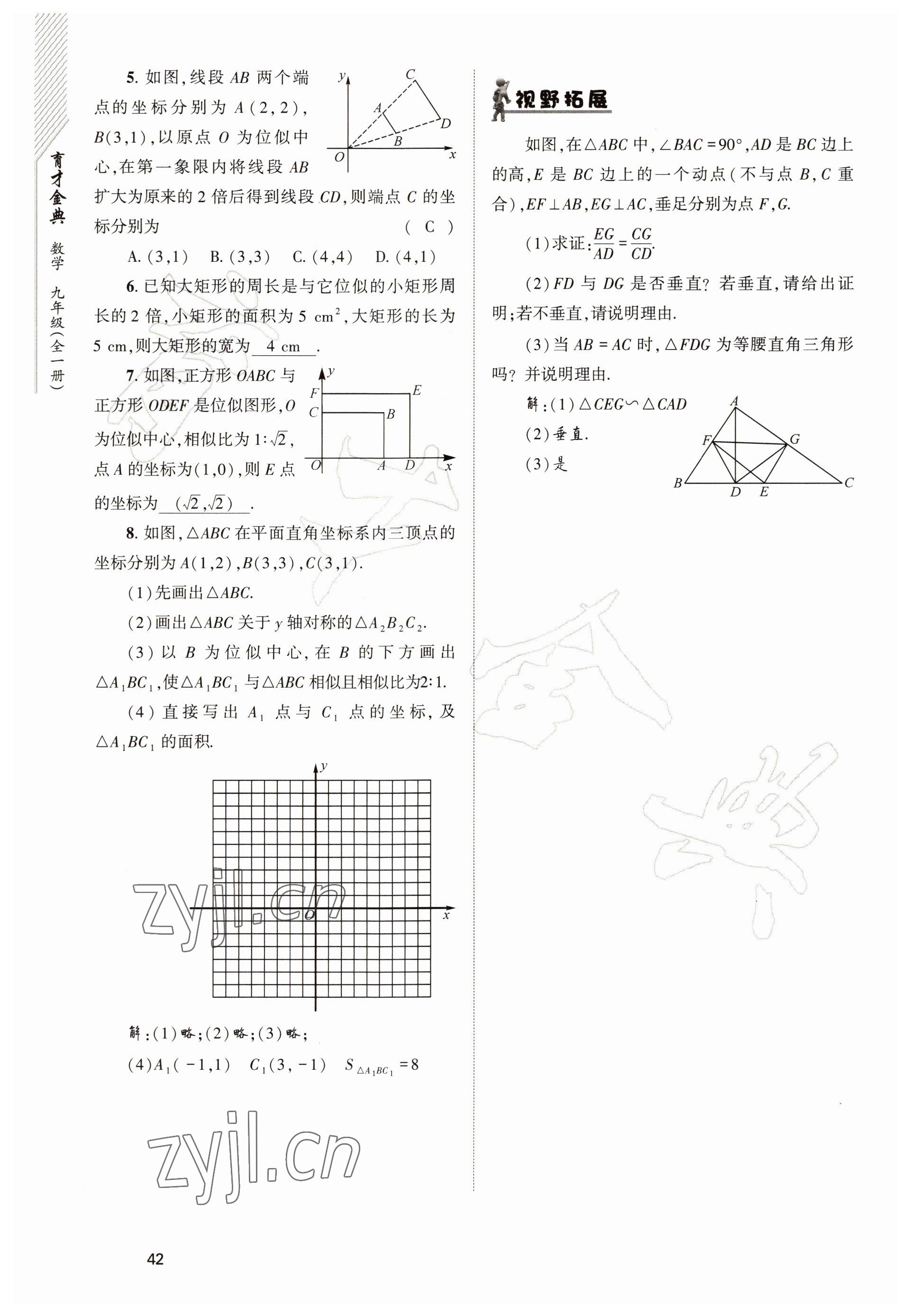 2022年育才金典九年級(jí)數(shù)學(xué)全一冊(cè)北師大版 參考答案第42頁