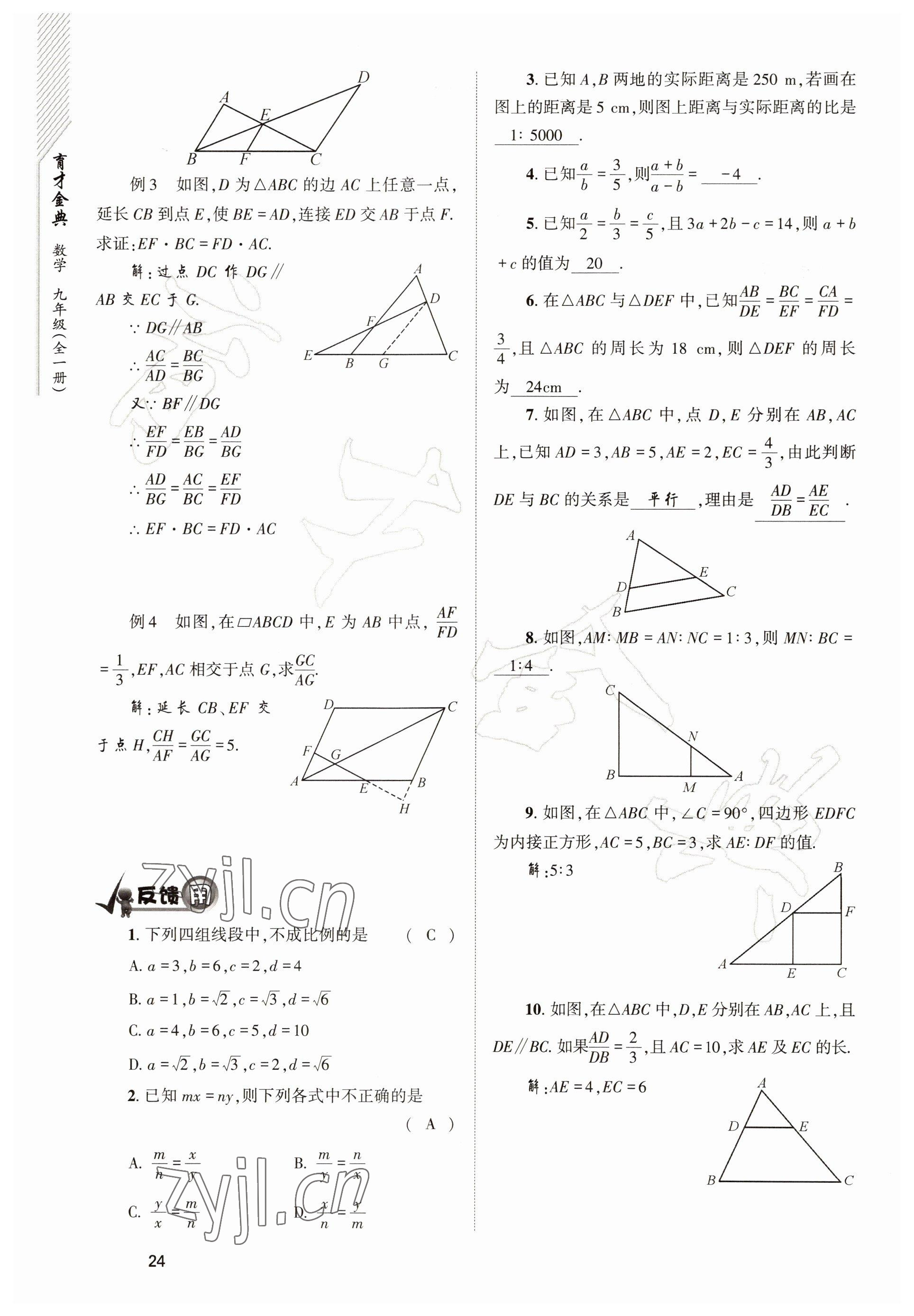 2022年育才金典九年級數(shù)學全一冊北師大版 參考答案第24頁