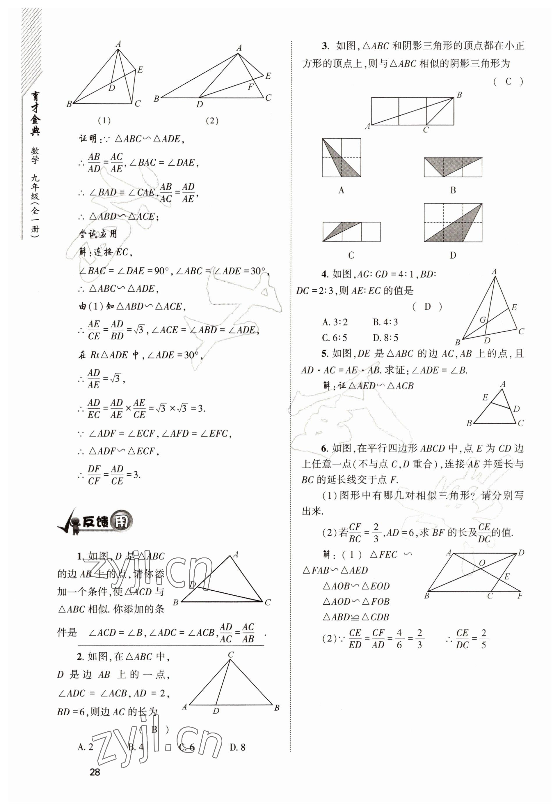 2022年育才金典九年級數(shù)學(xué)全一冊北師大版 參考答案第28頁