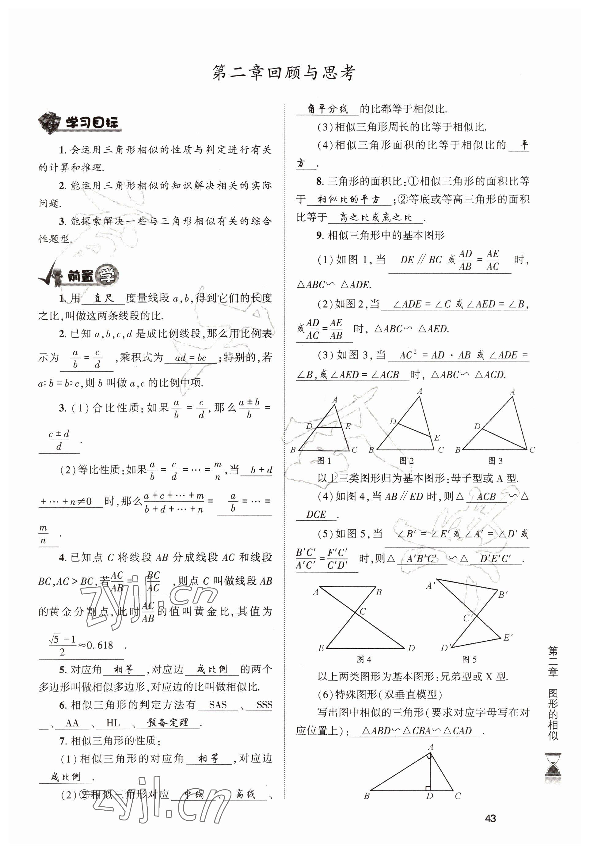 2022年育才金典九年級數(shù)學(xué)全一冊北師大版 參考答案第43頁