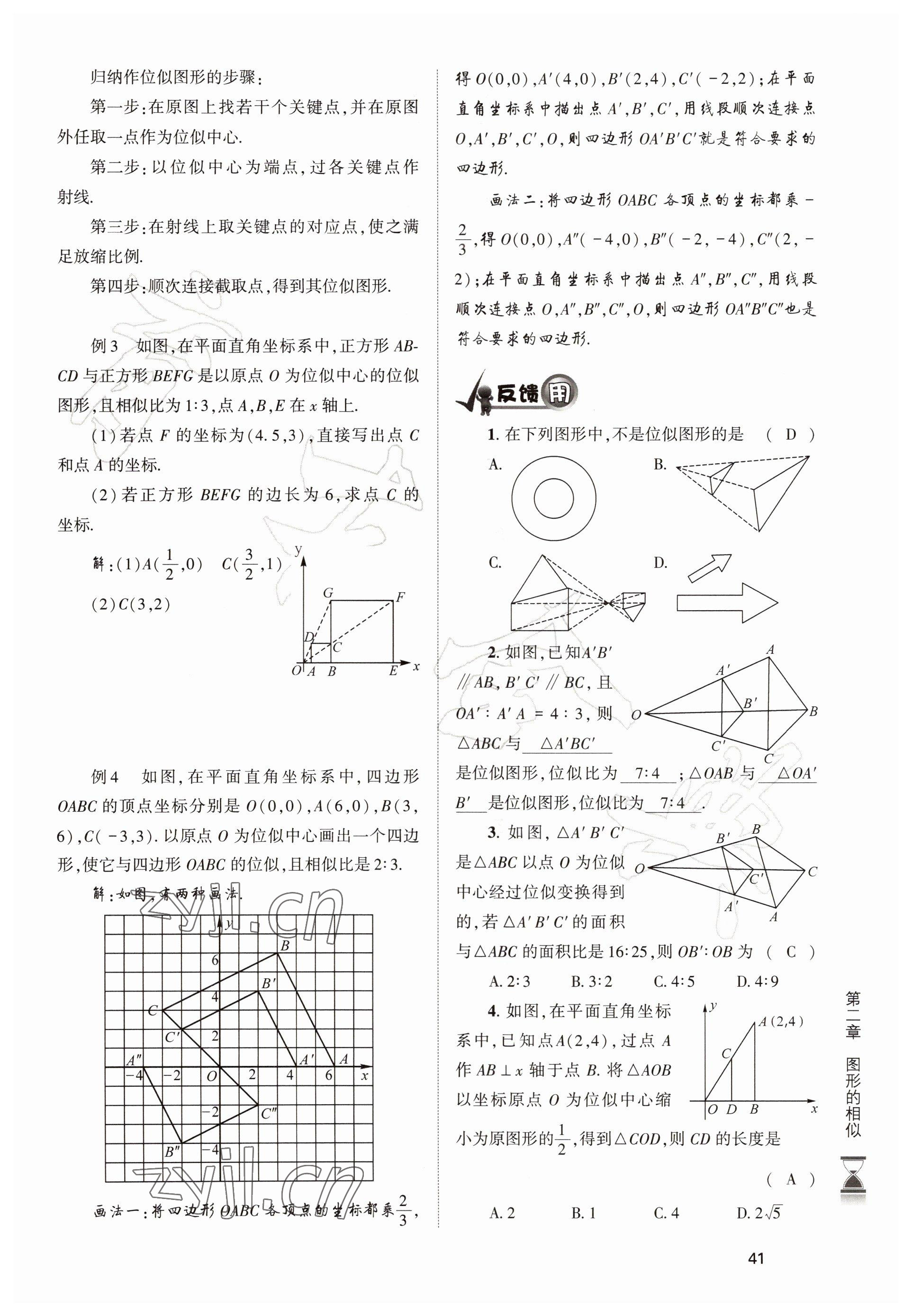 2022年育才金典九年級數(shù)學全一冊北師大版 參考答案第41頁