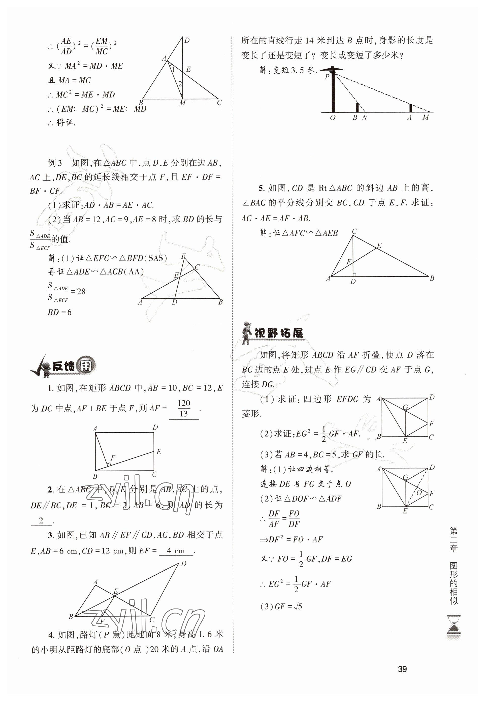 2022年育才金典九年級數(shù)學全一冊北師大版 參考答案第39頁