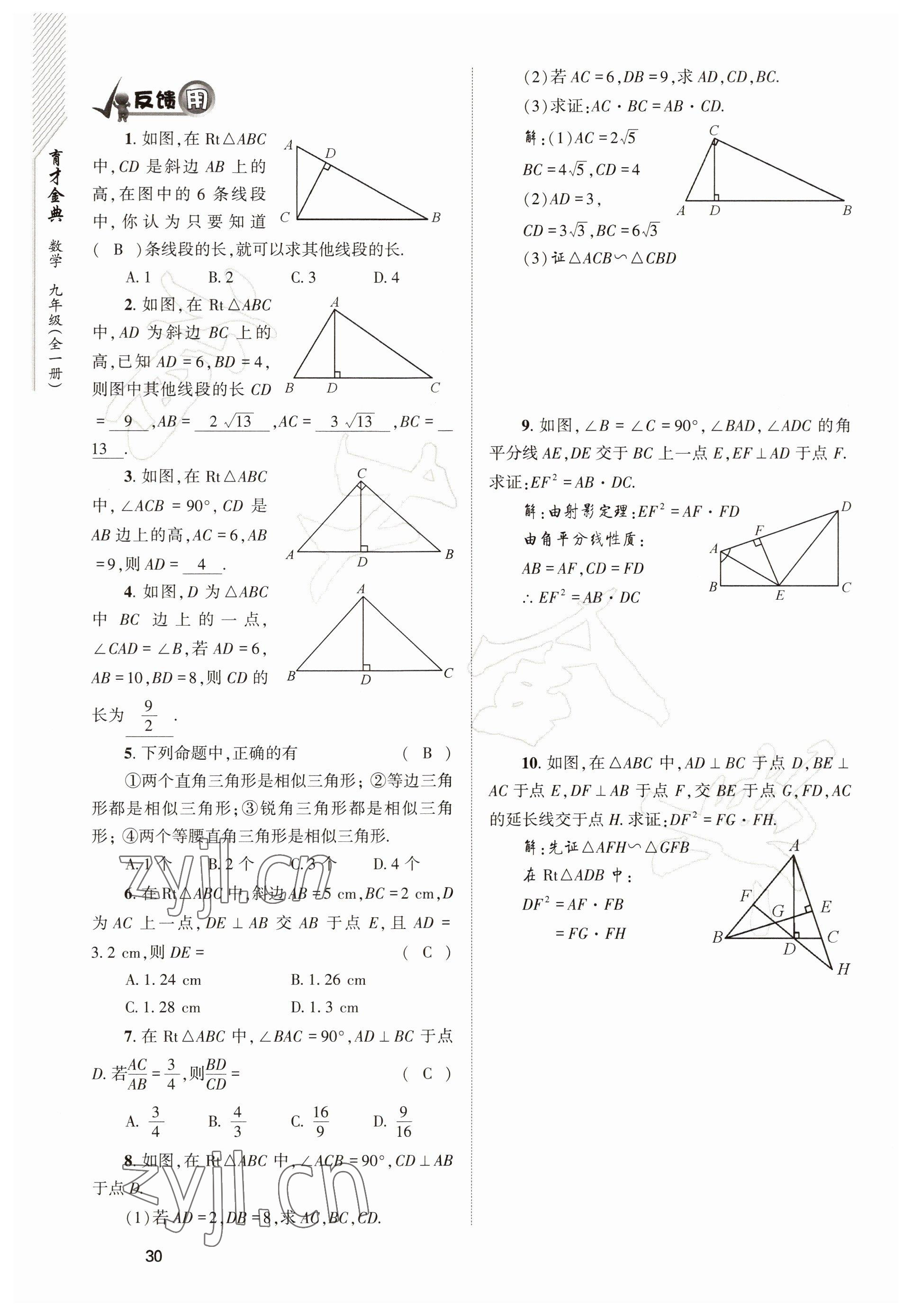 2022年育才金典九年級(jí)數(shù)學(xué)全一冊(cè)北師大版 參考答案第30頁(yè)