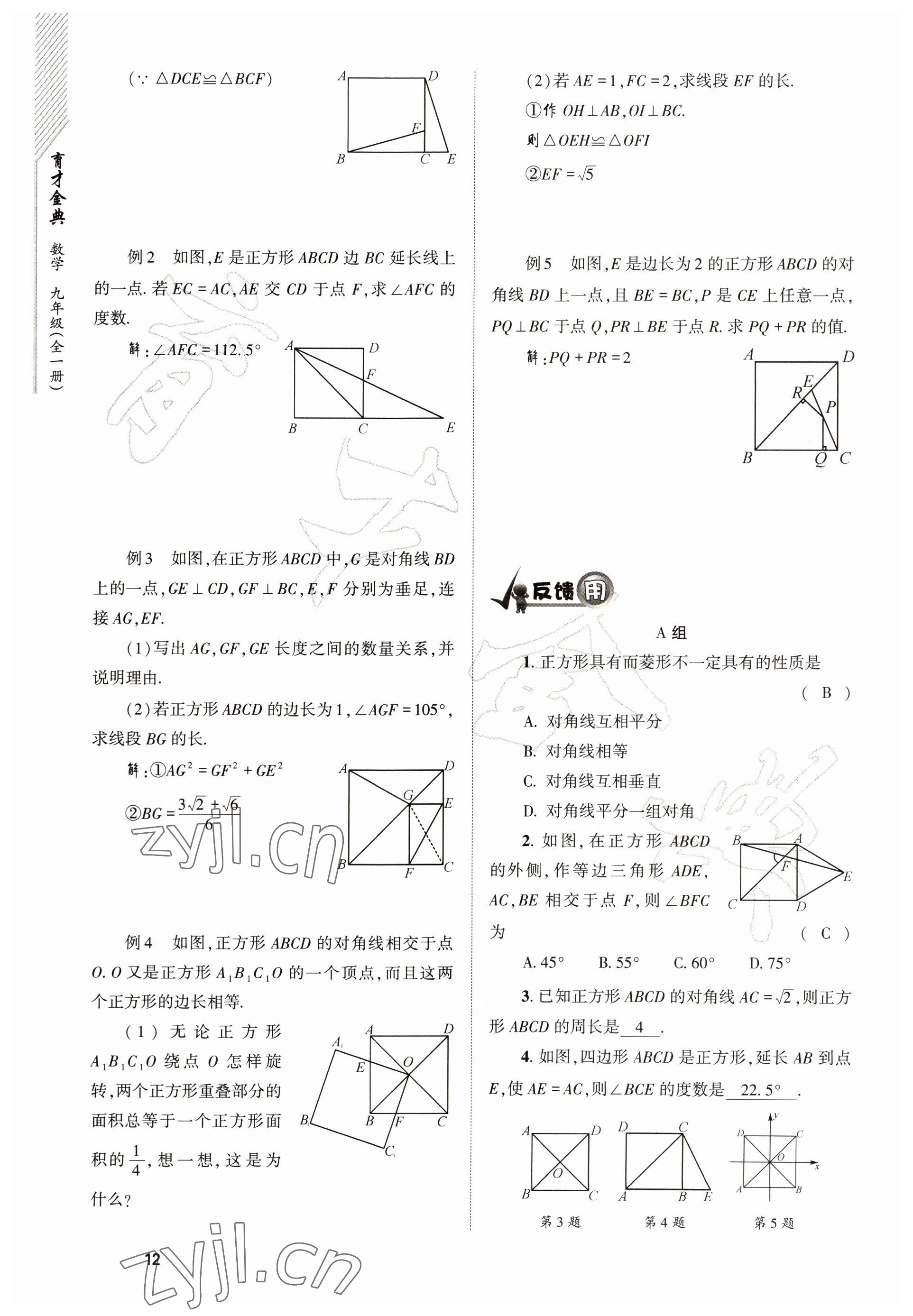 2022年育才金典九年級(jí)數(shù)學(xué)全一冊(cè)北師大版 參考答案第12頁