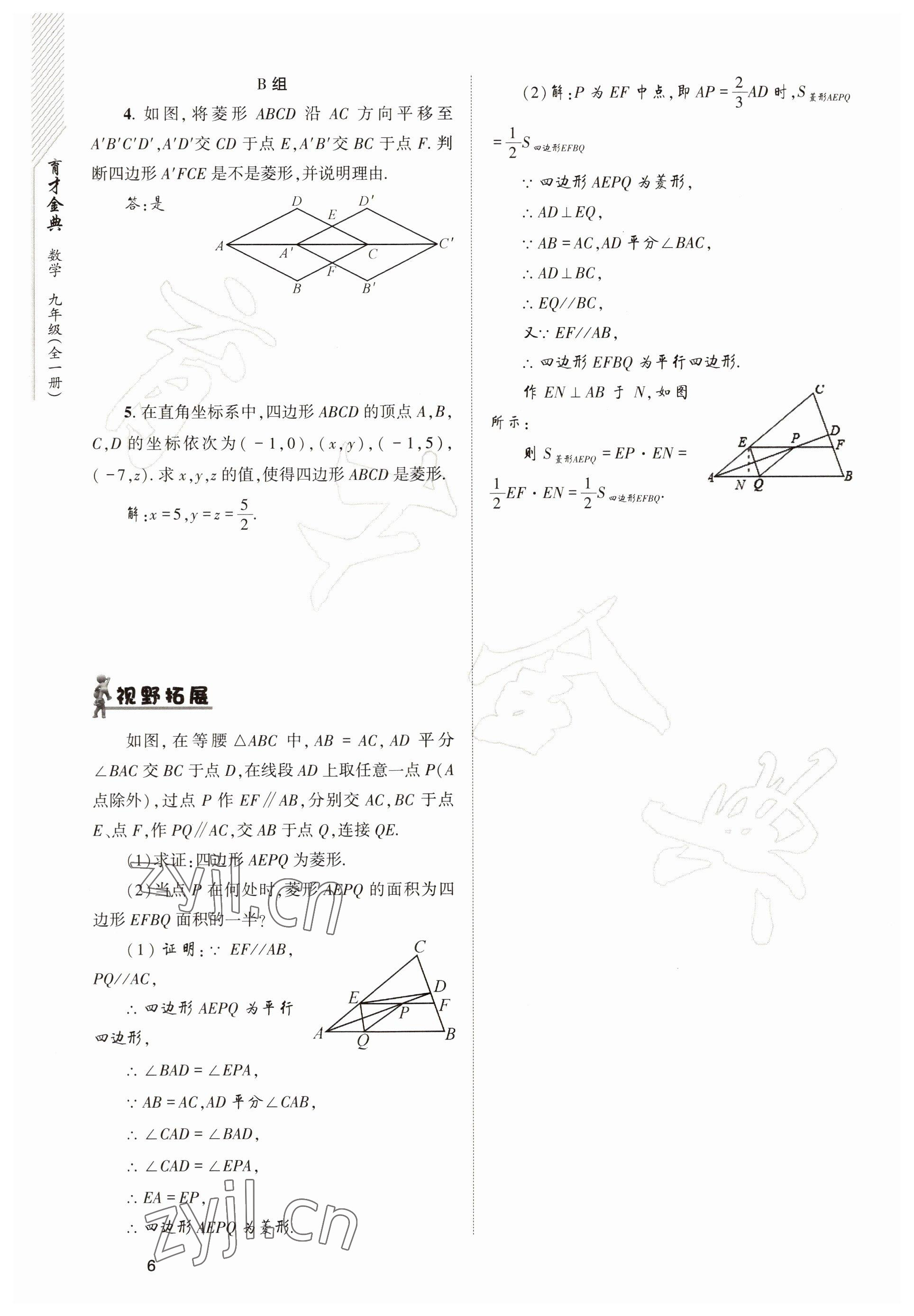 2022年育才金典九年級(jí)數(shù)學(xué)全一冊(cè)北師大版 參考答案第6頁