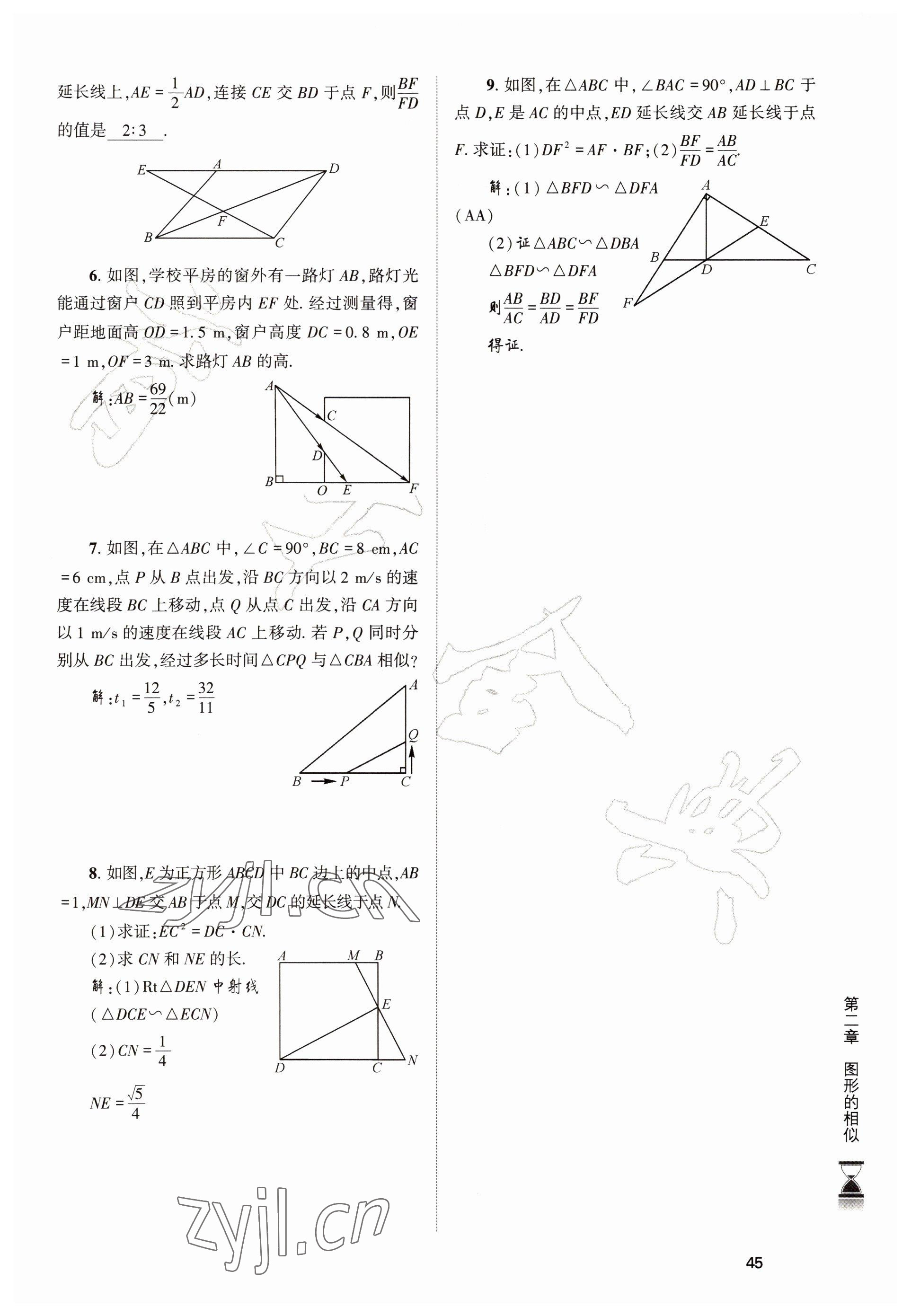 2022年育才金典九年級(jí)數(shù)學(xué)全一冊(cè)北師大版 參考答案第45頁(yè)