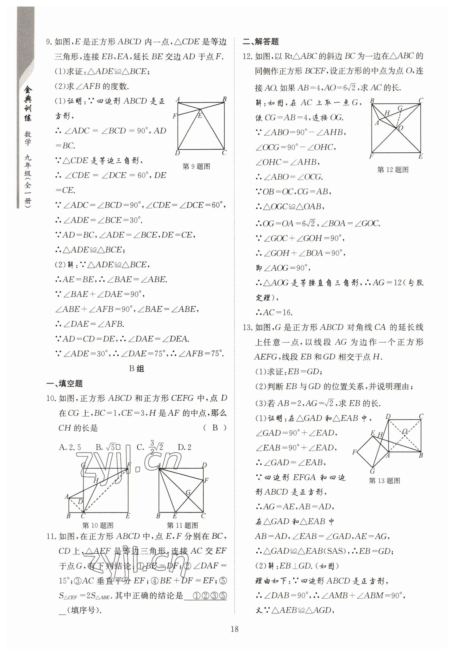 2022年金典訓(xùn)練九年級(jí)數(shù)學(xué)全一冊(cè)北師大版 參考答案第13頁