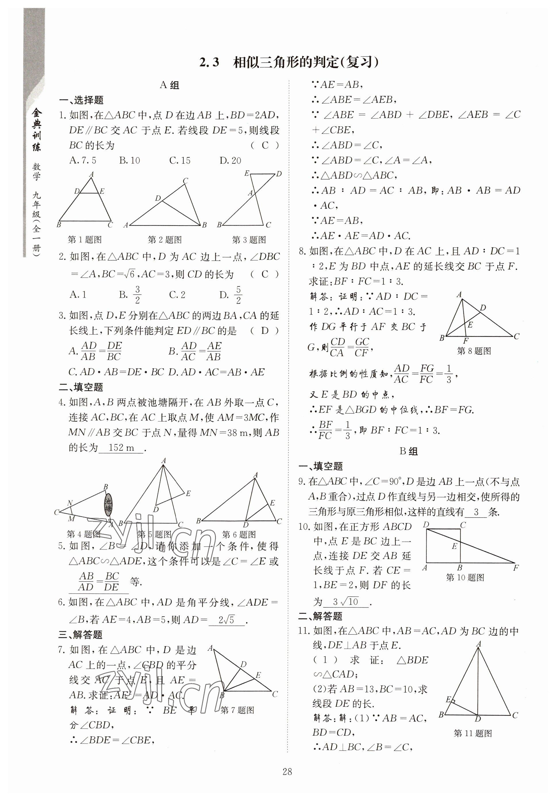 2022年金典训练九年级数学全一册北师大版 参考答案第23页