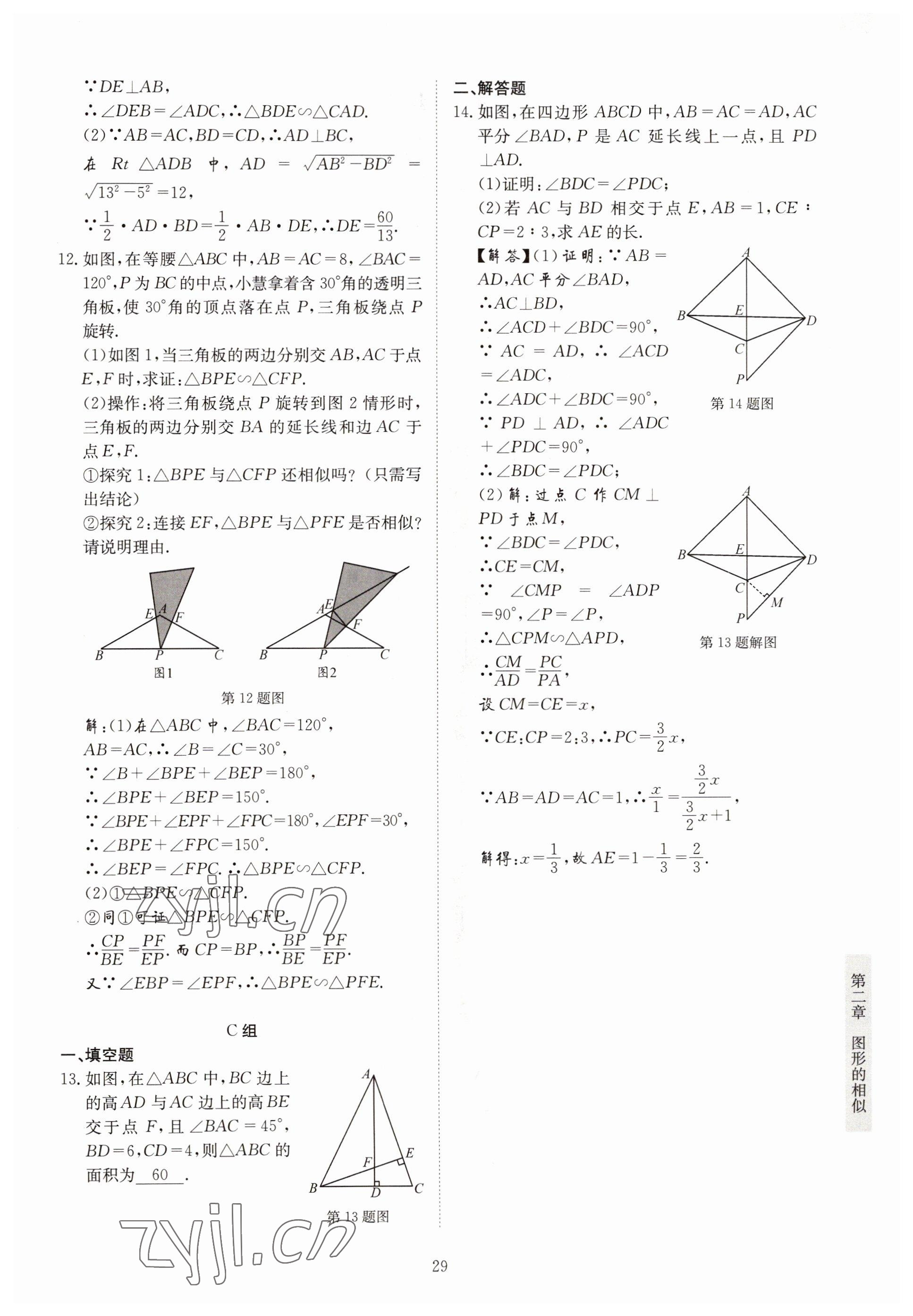 2022年金典训练九年级数学全一册北师大版 参考答案第24页