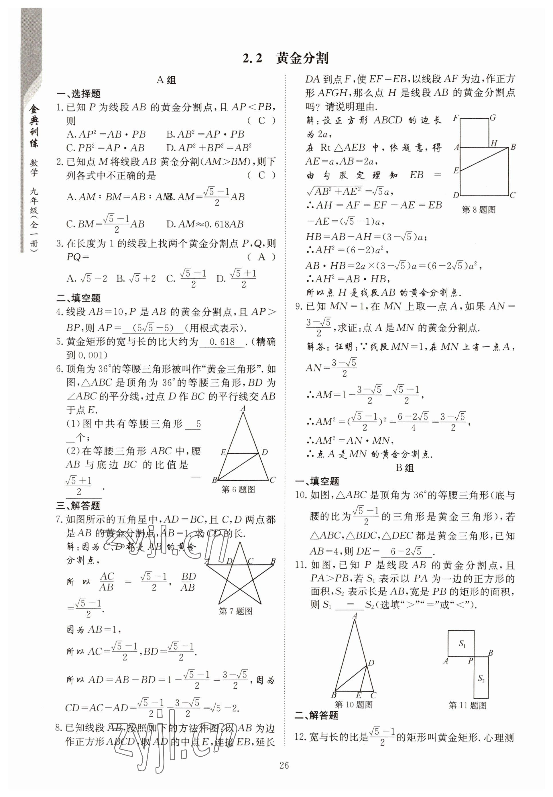 2022年金典训练九年级数学全一册北师大版 参考答案第21页