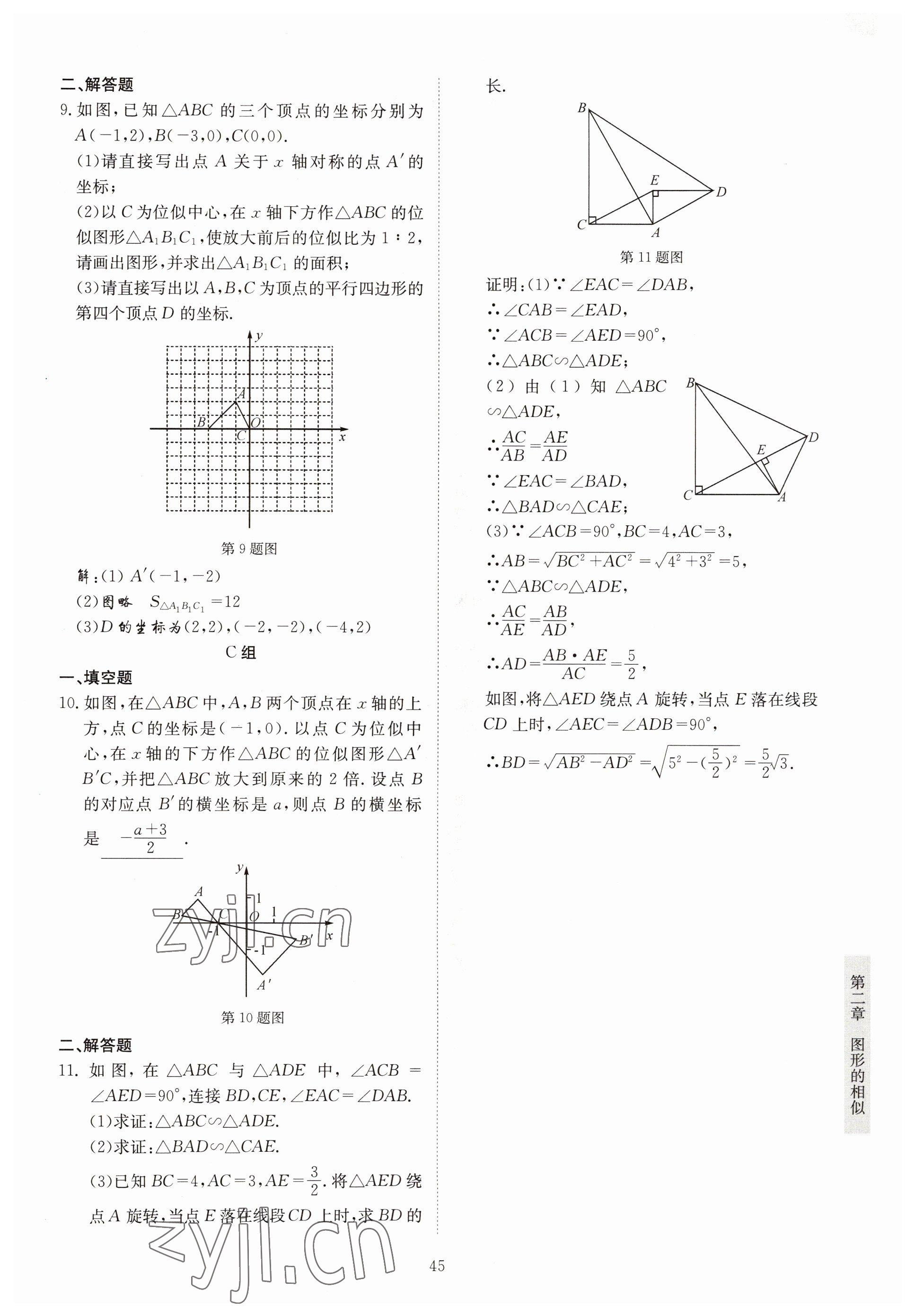 2022年金典訓(xùn)練九年級數(shù)學(xué)全一冊北師大版 參考答案第40頁