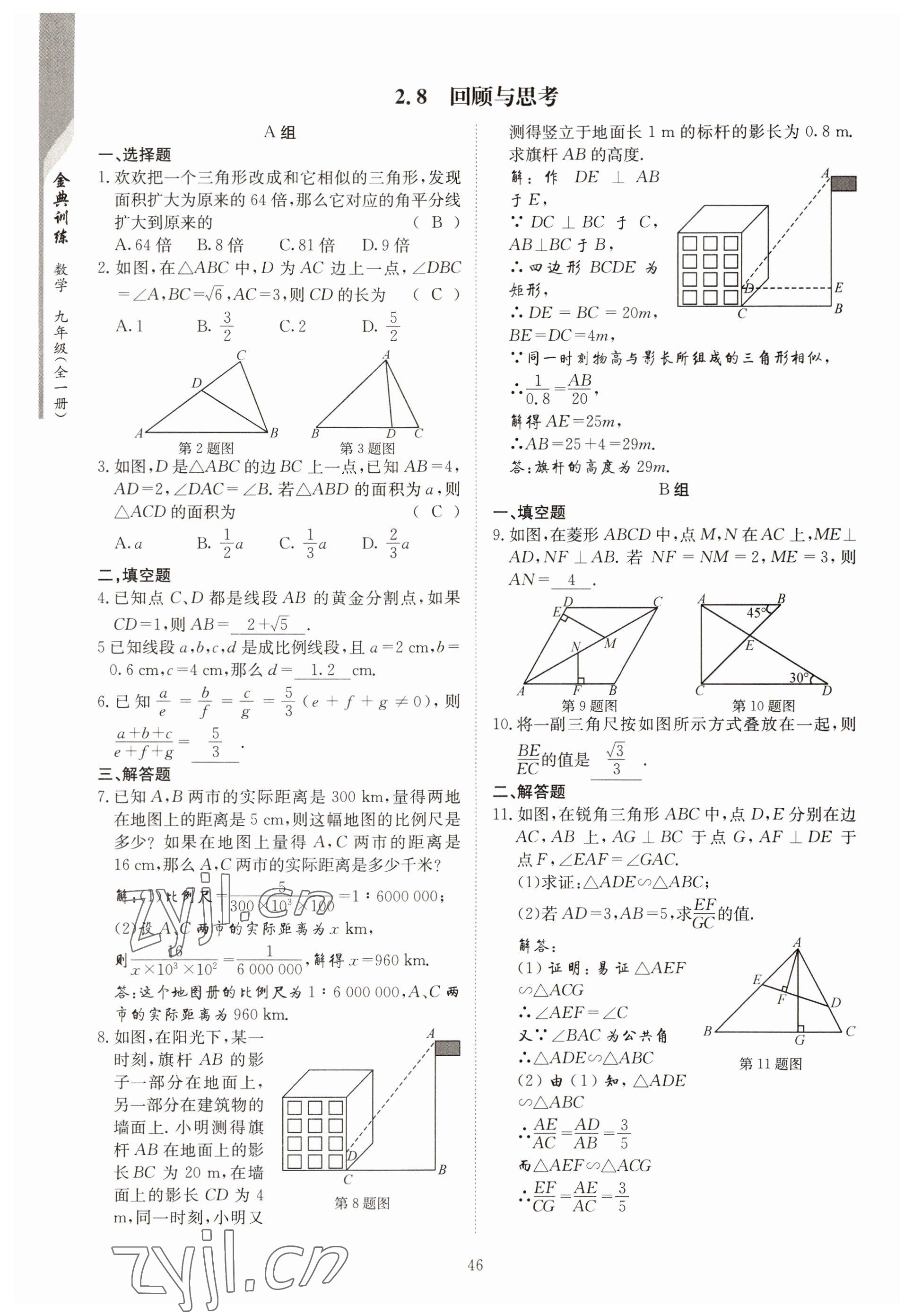 2022年金典训练九年级数学全一册北师大版 参考答案第41页