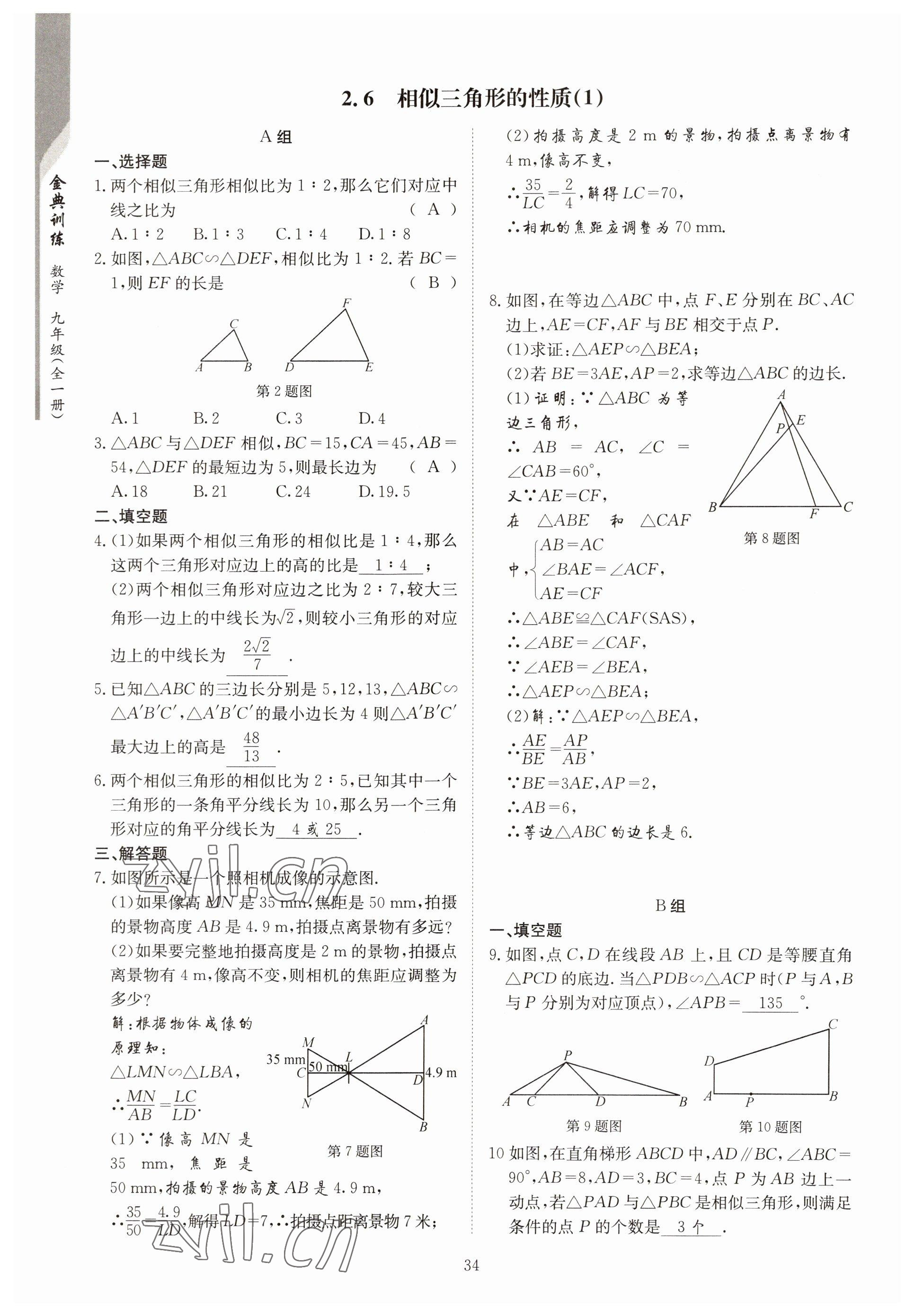 2022年金典訓(xùn)練九年級(jí)數(shù)學(xué)全一冊(cè)北師大版 參考答案第29頁(yè)