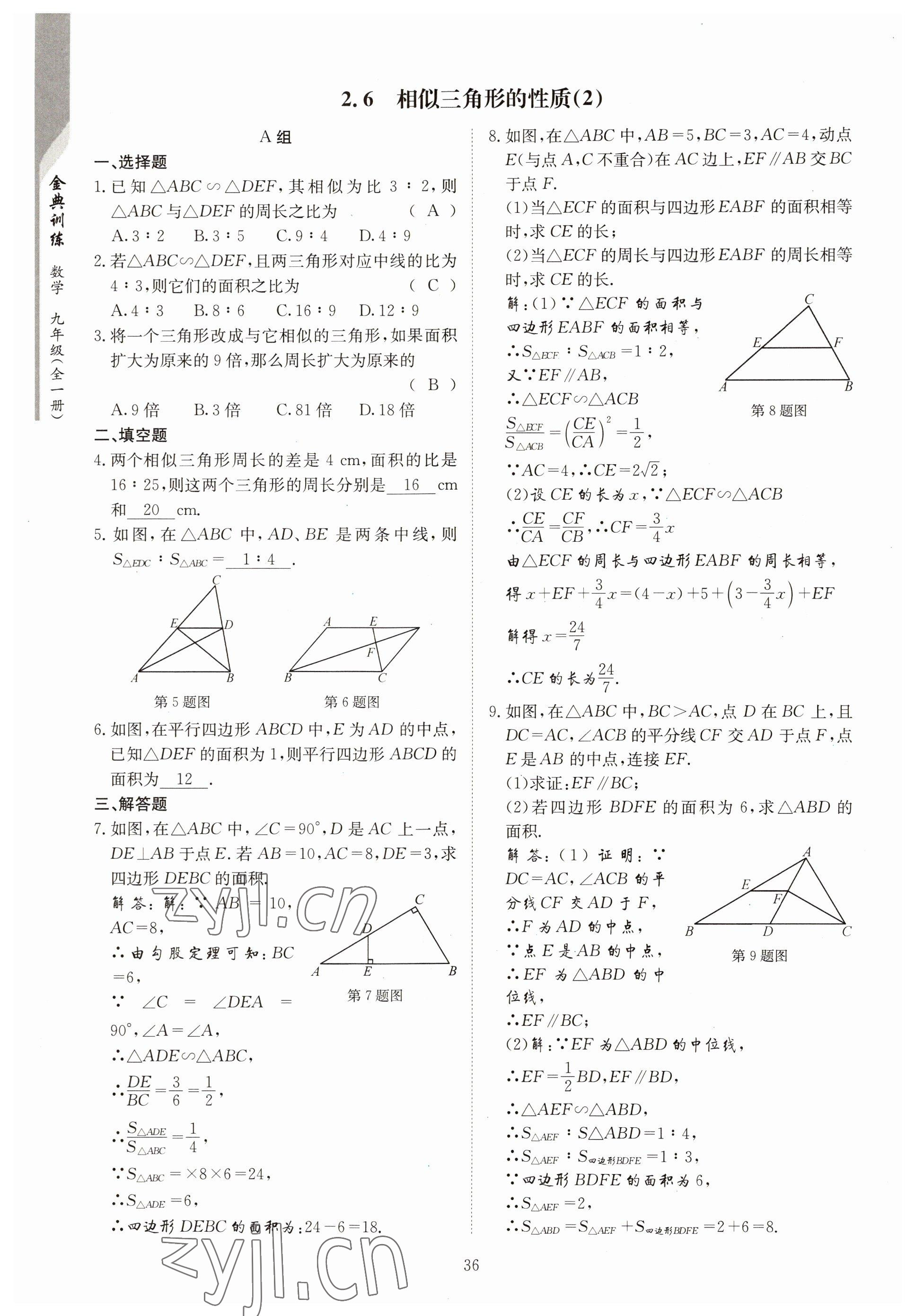 2022年金典訓(xùn)練九年級數(shù)學(xué)全一冊北師大版 參考答案第31頁