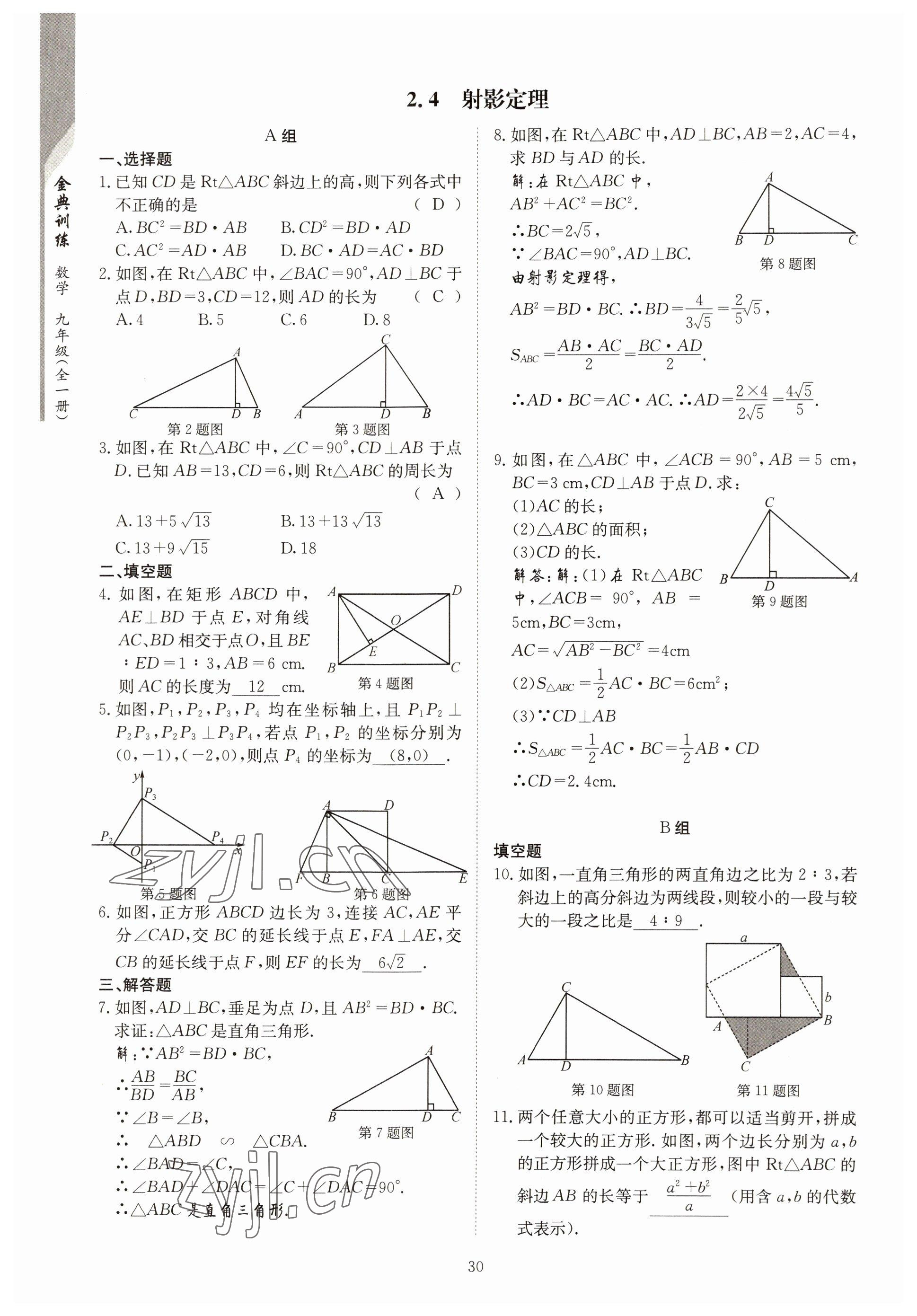 2022年金典訓(xùn)練九年級數(shù)學(xué)全一冊北師大版 參考答案第25頁