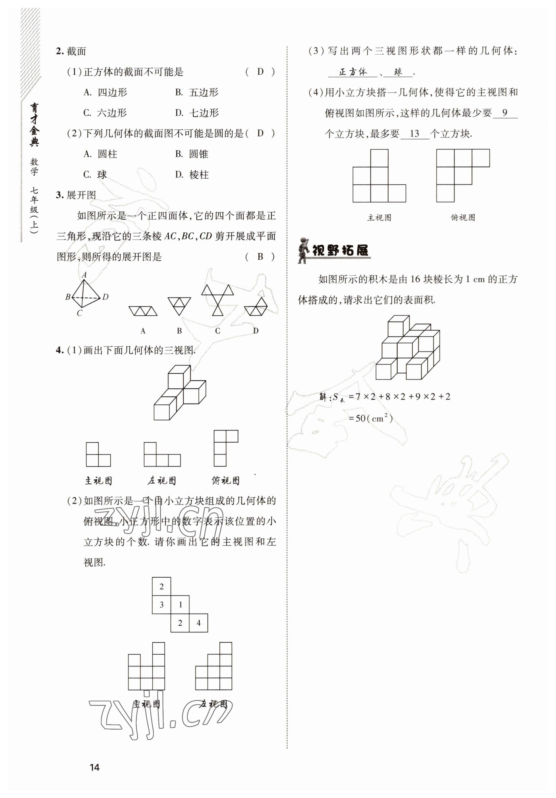 2022年育才金典七年級(jí)數(shù)學(xué)上冊(cè)北師大版 參考答案第14頁(yè)