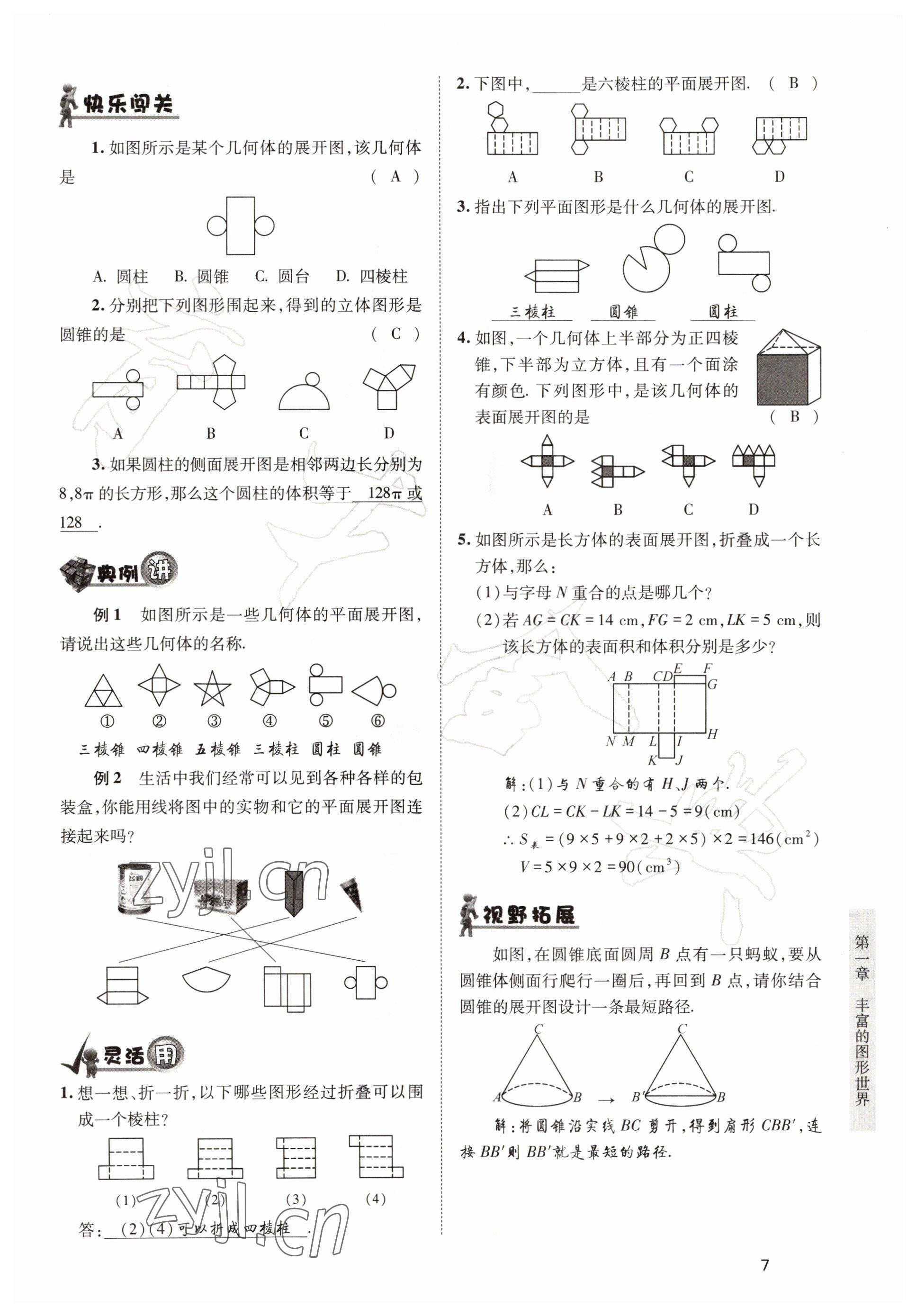 2022年育才金典七年級數(shù)學(xué)上冊北師大版 參考答案第7頁